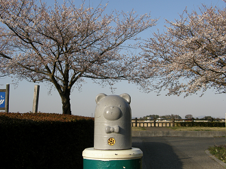 P4089571_thumb.png