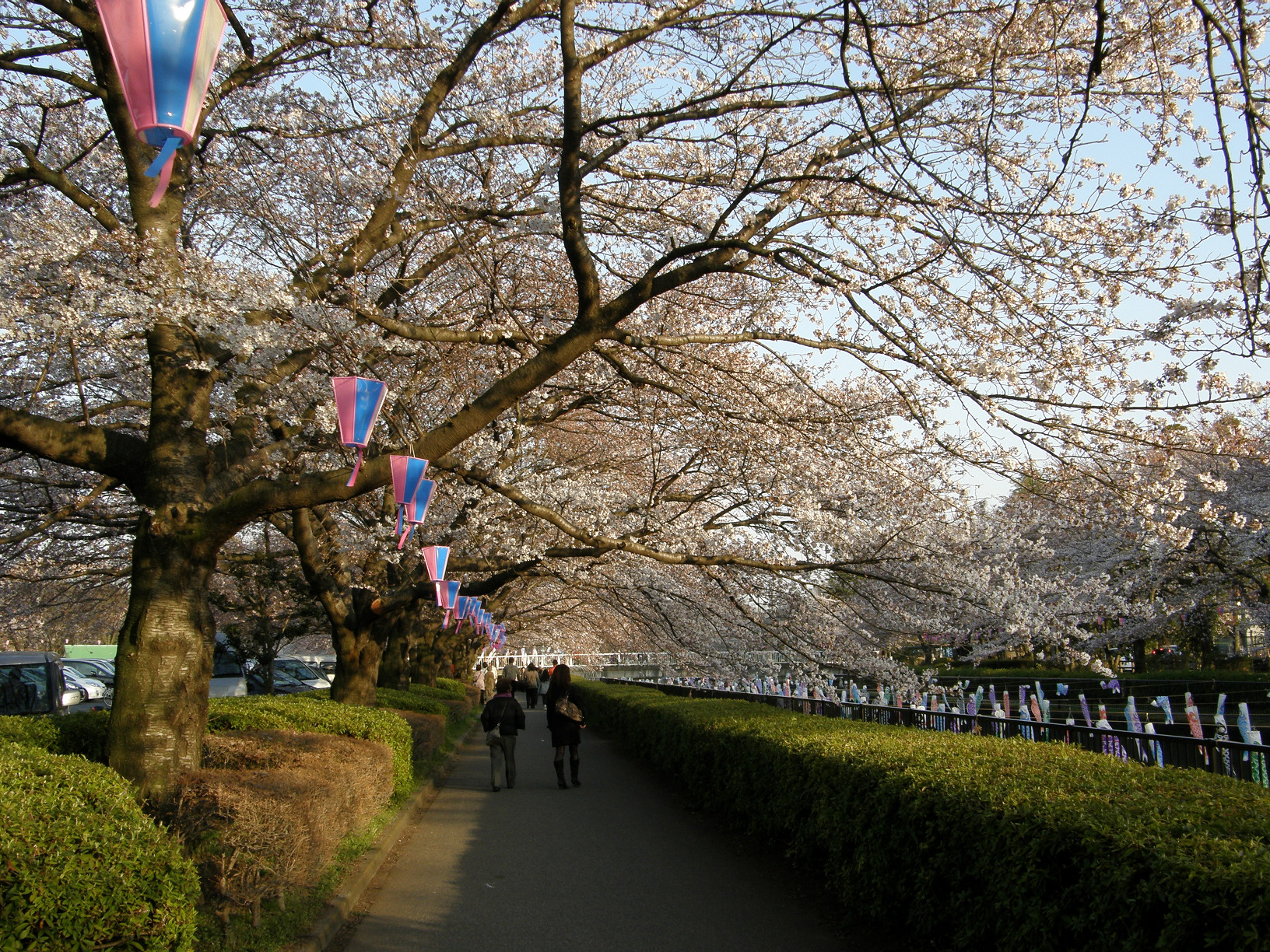 P4089589.jpg