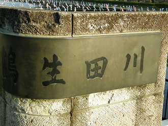 P4089590_thumb.png