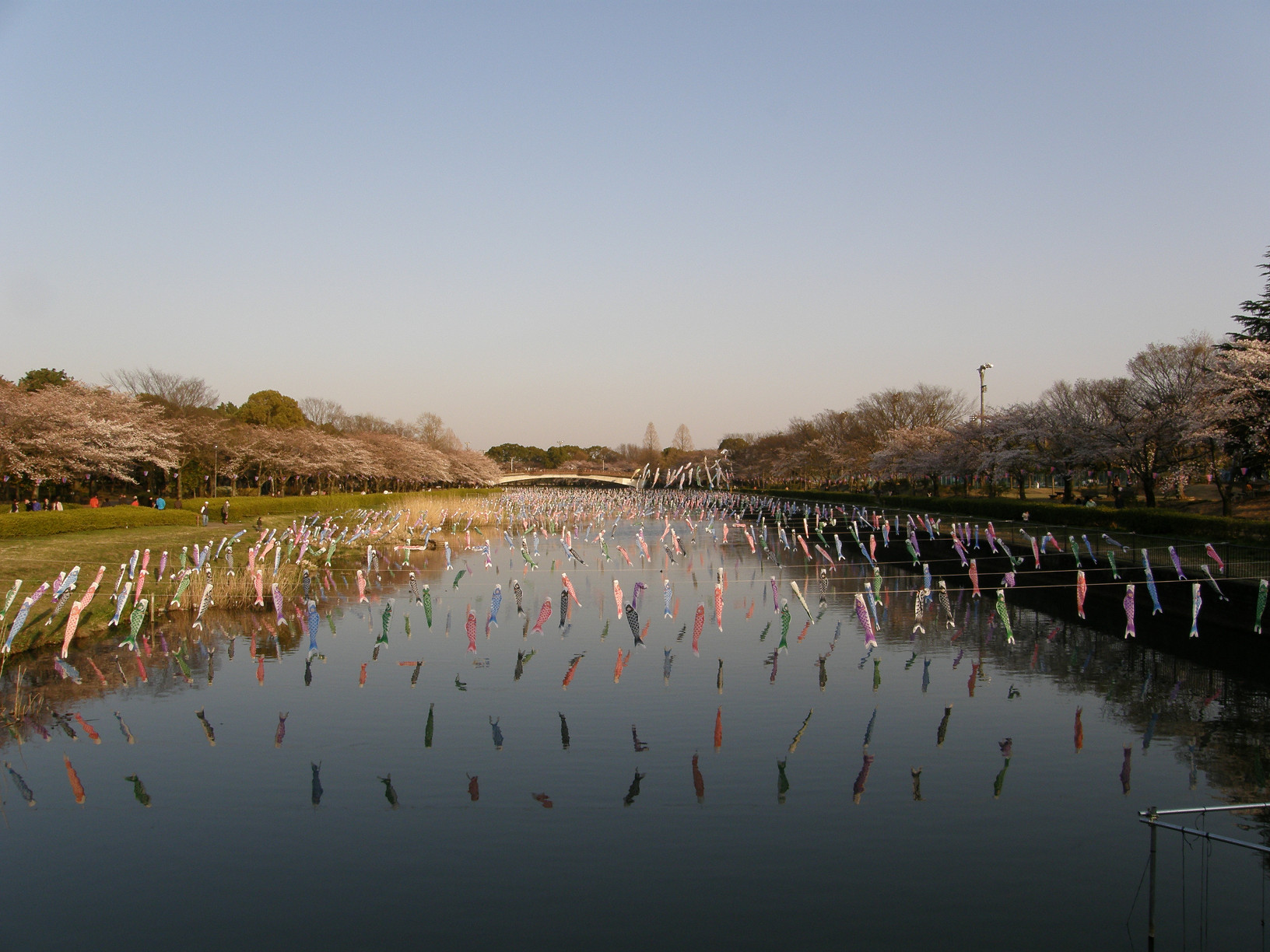 P4089592.jpg