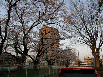 P4089600_thumb.png