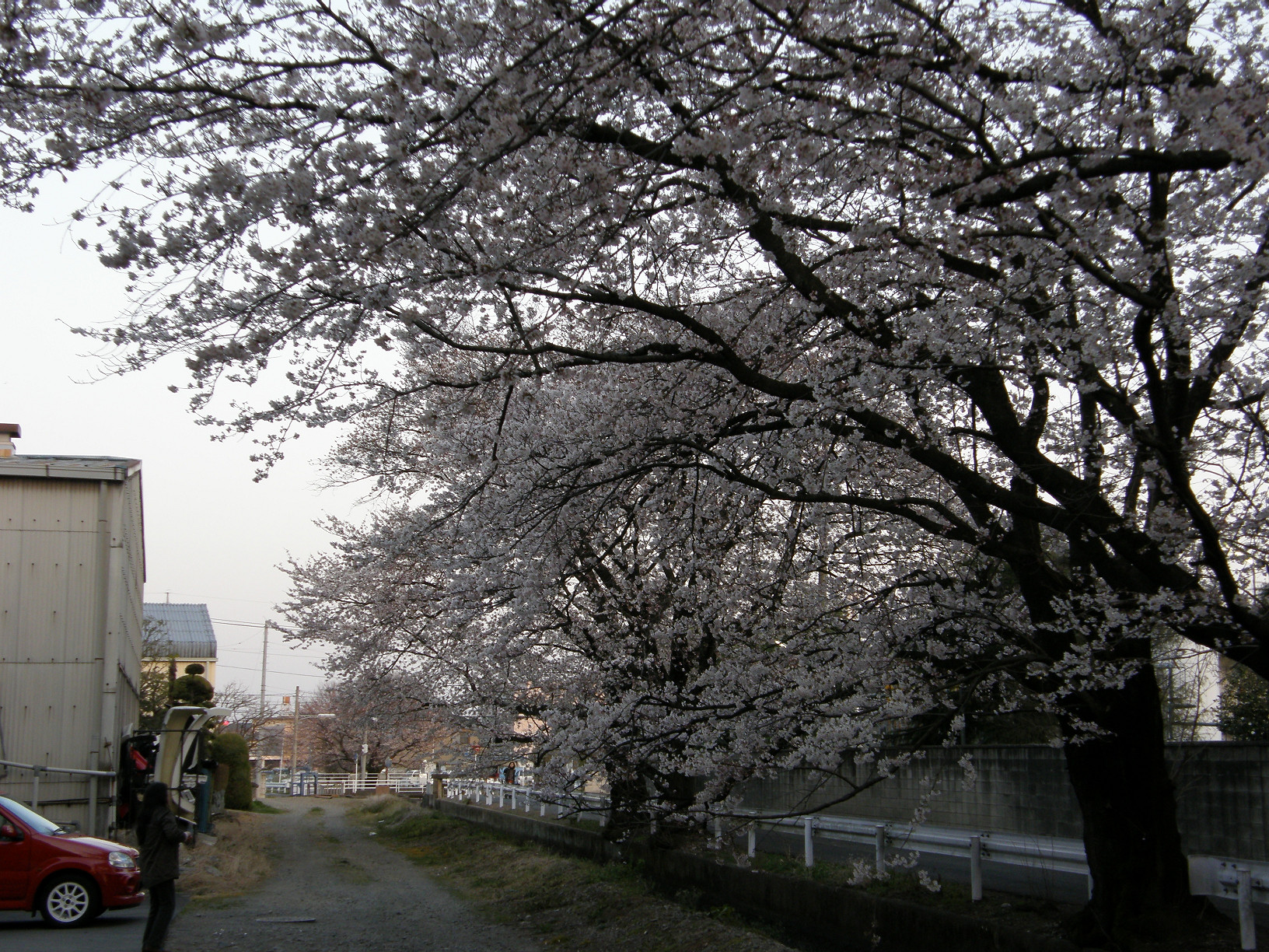 P4089607.jpg