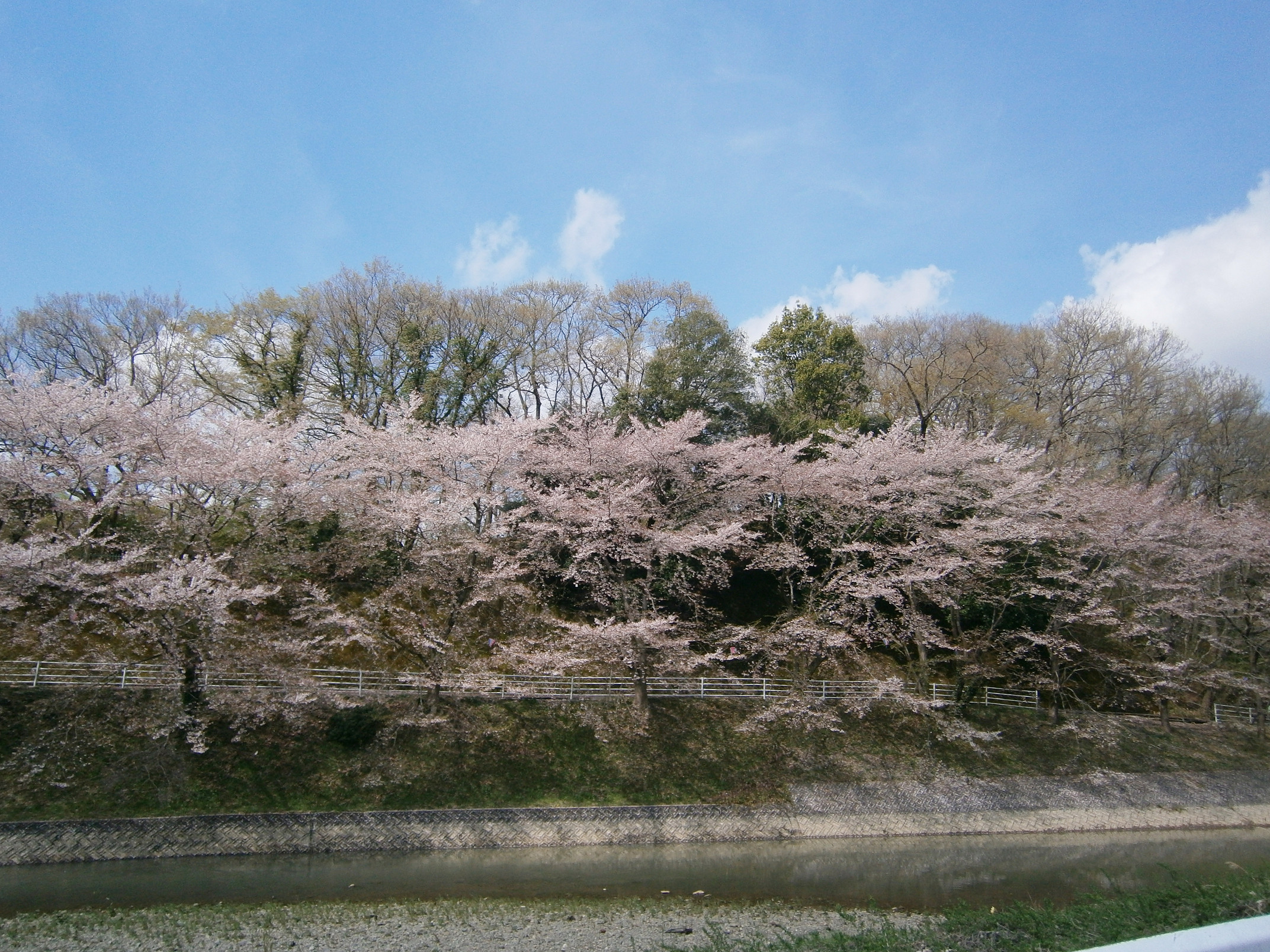 P4150089.jpg