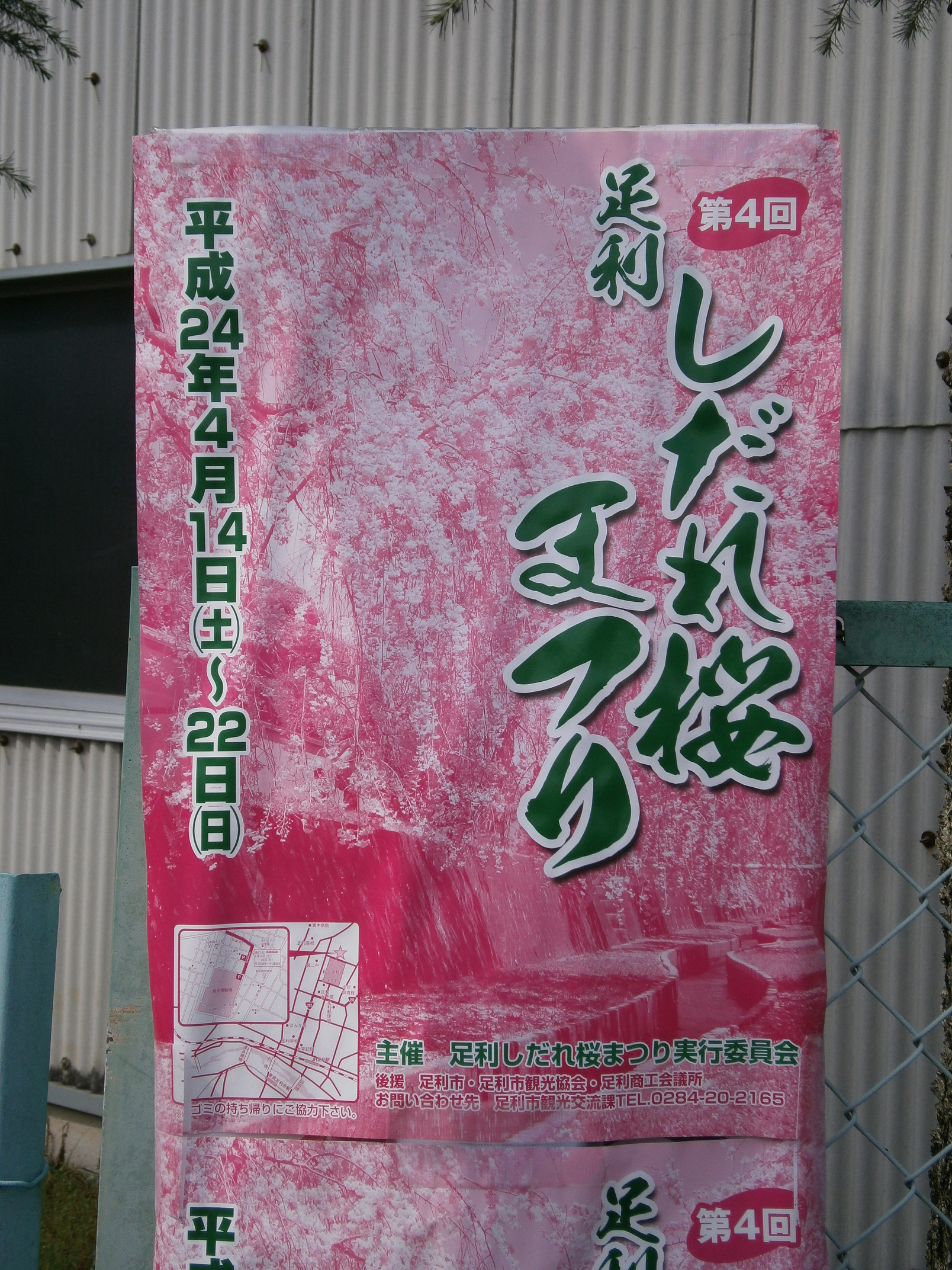 P4150098.jpg