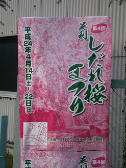 P4150098_thumb.png