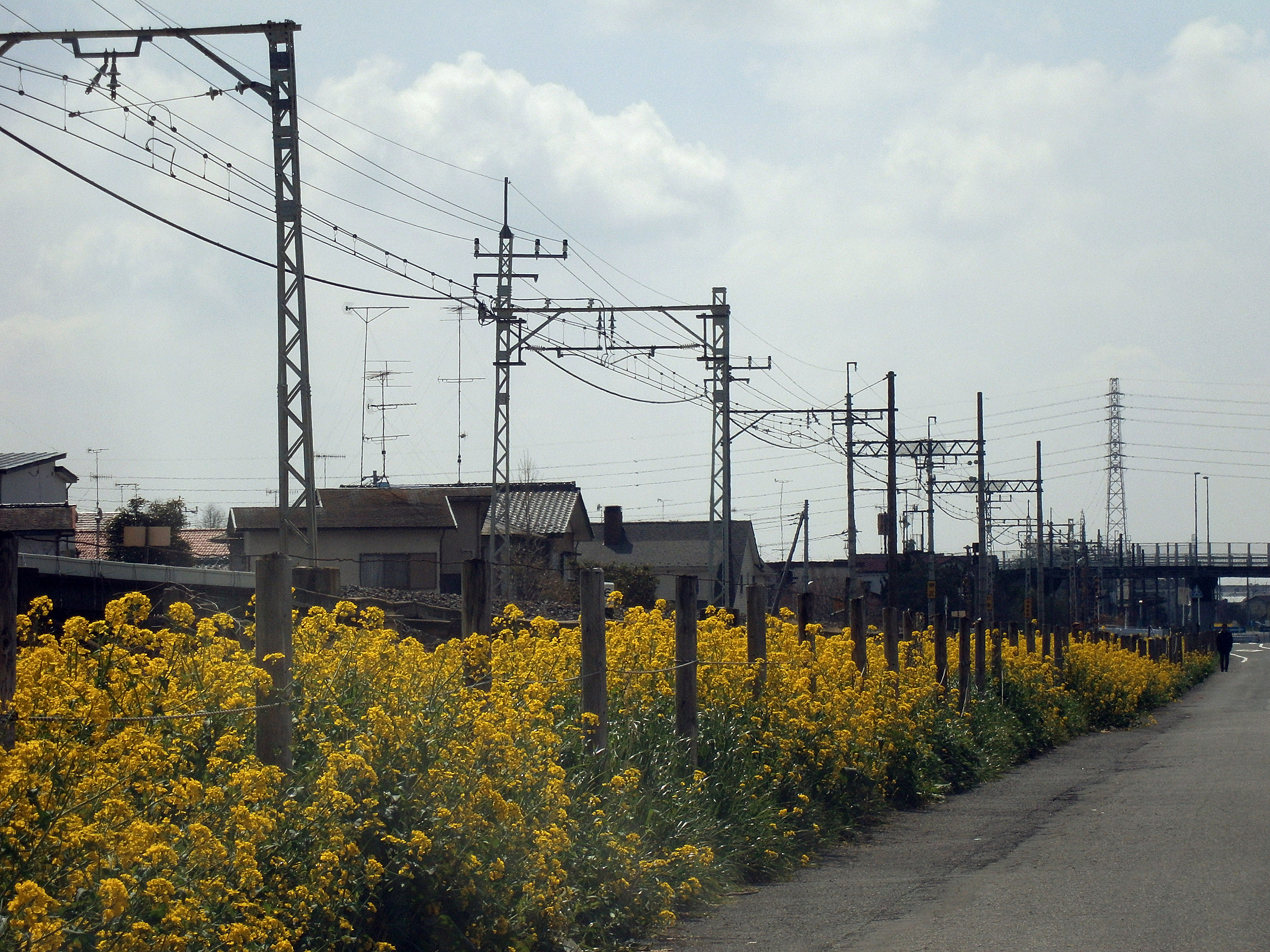 P4150147.jpg