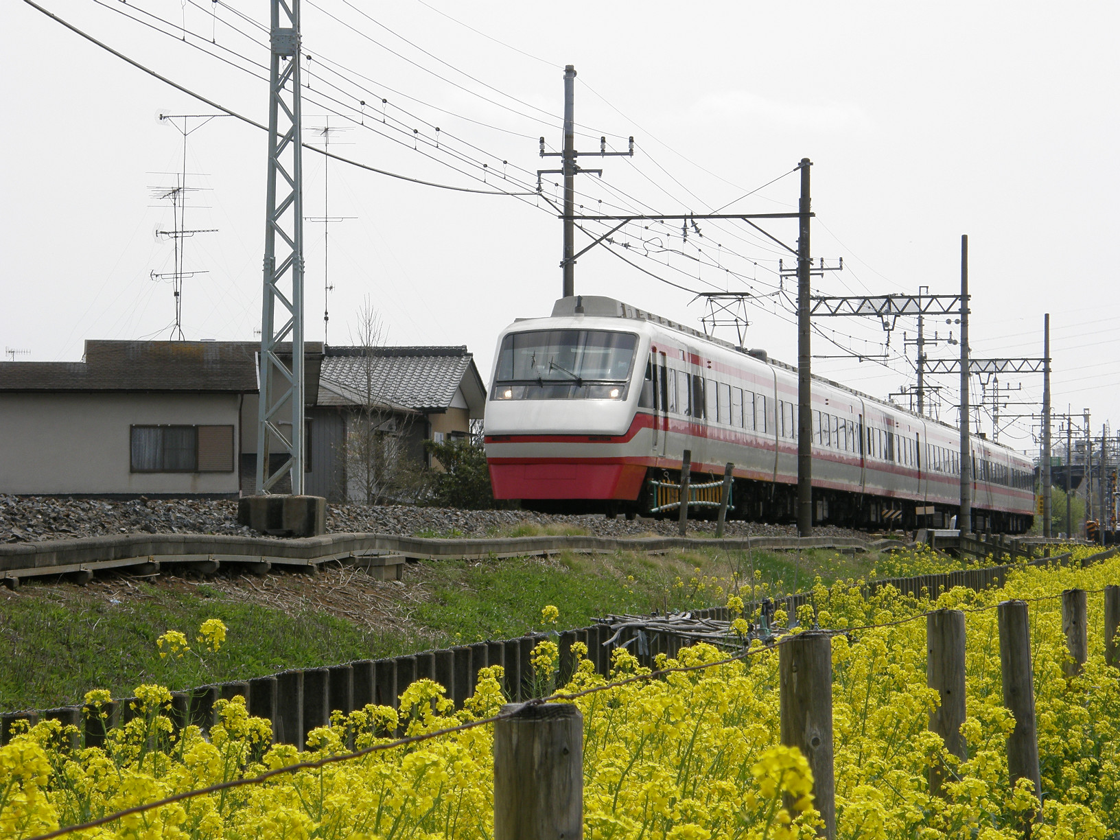 P4159636.jpg