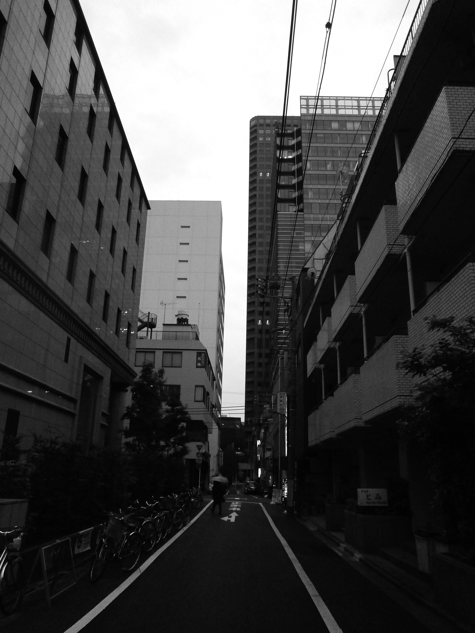 P4220028.jpg