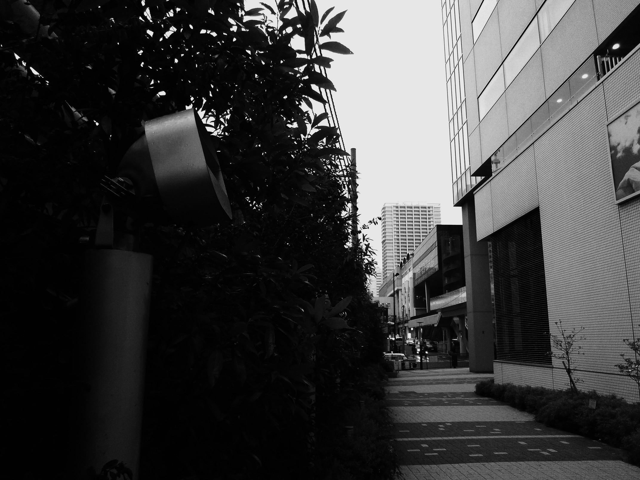 P4220045.jpg