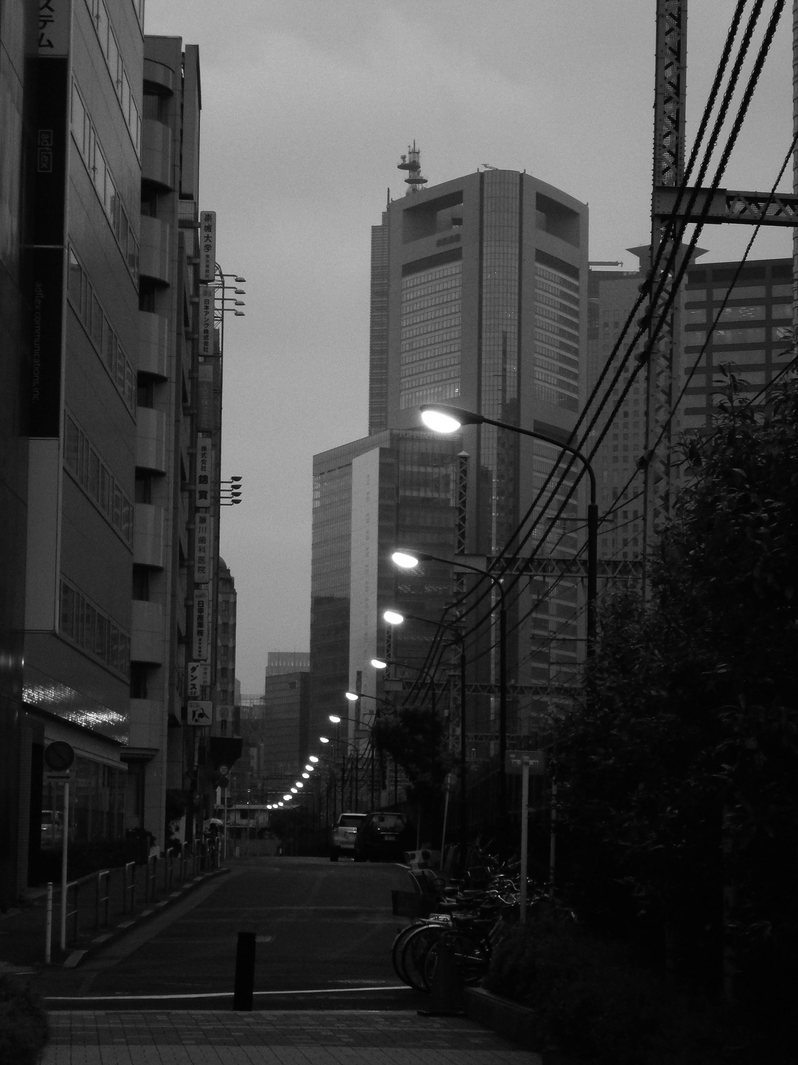 P4220046.jpg