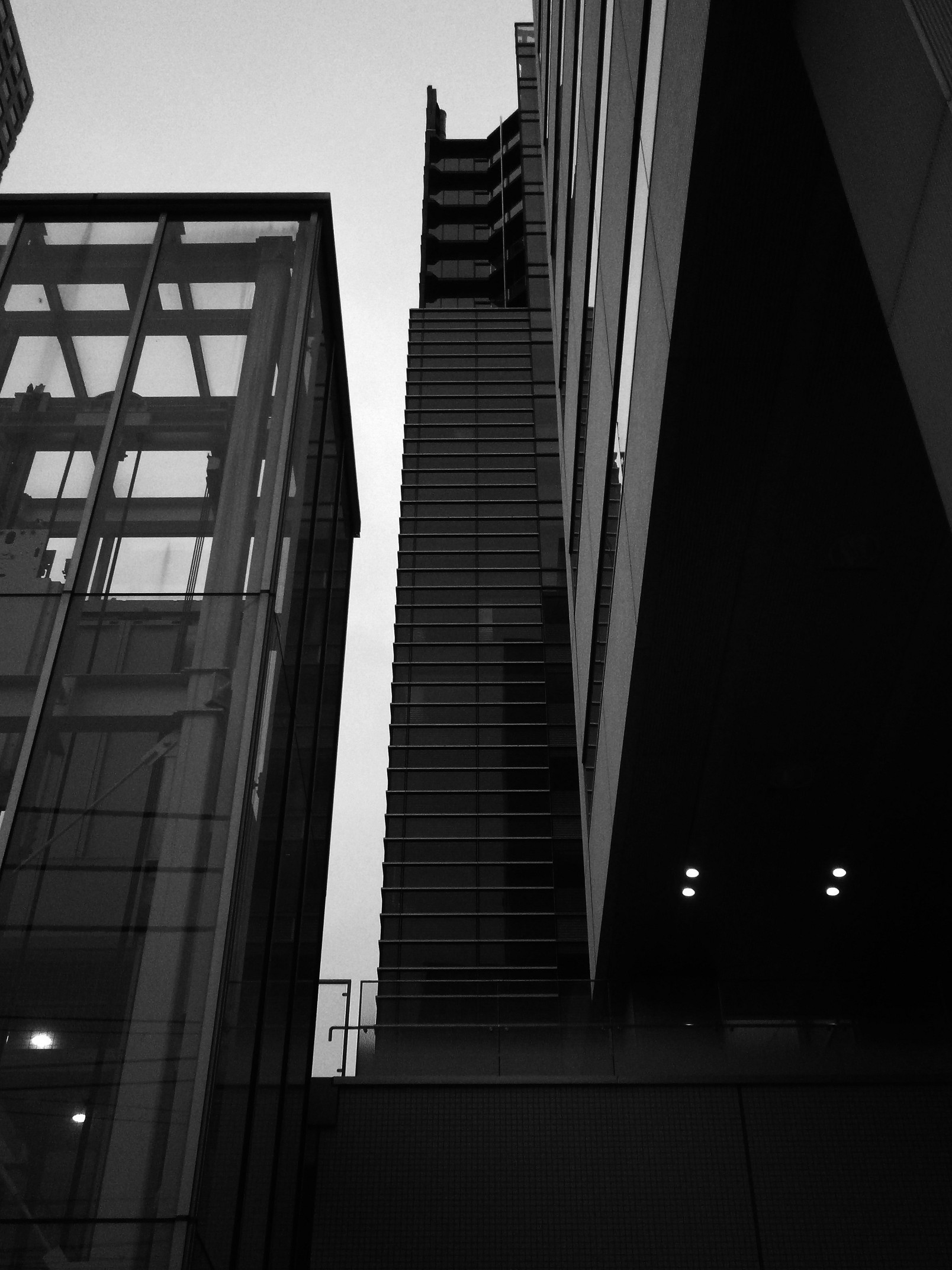P4220051.jpg
