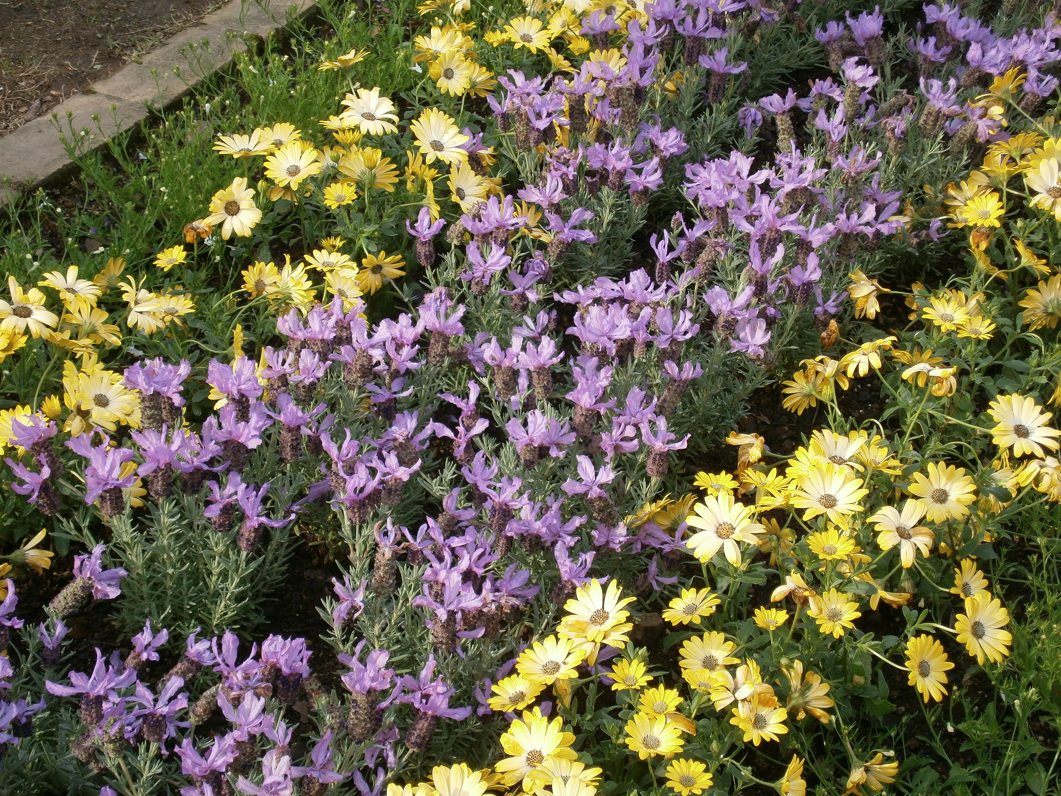 P5050004.jpg