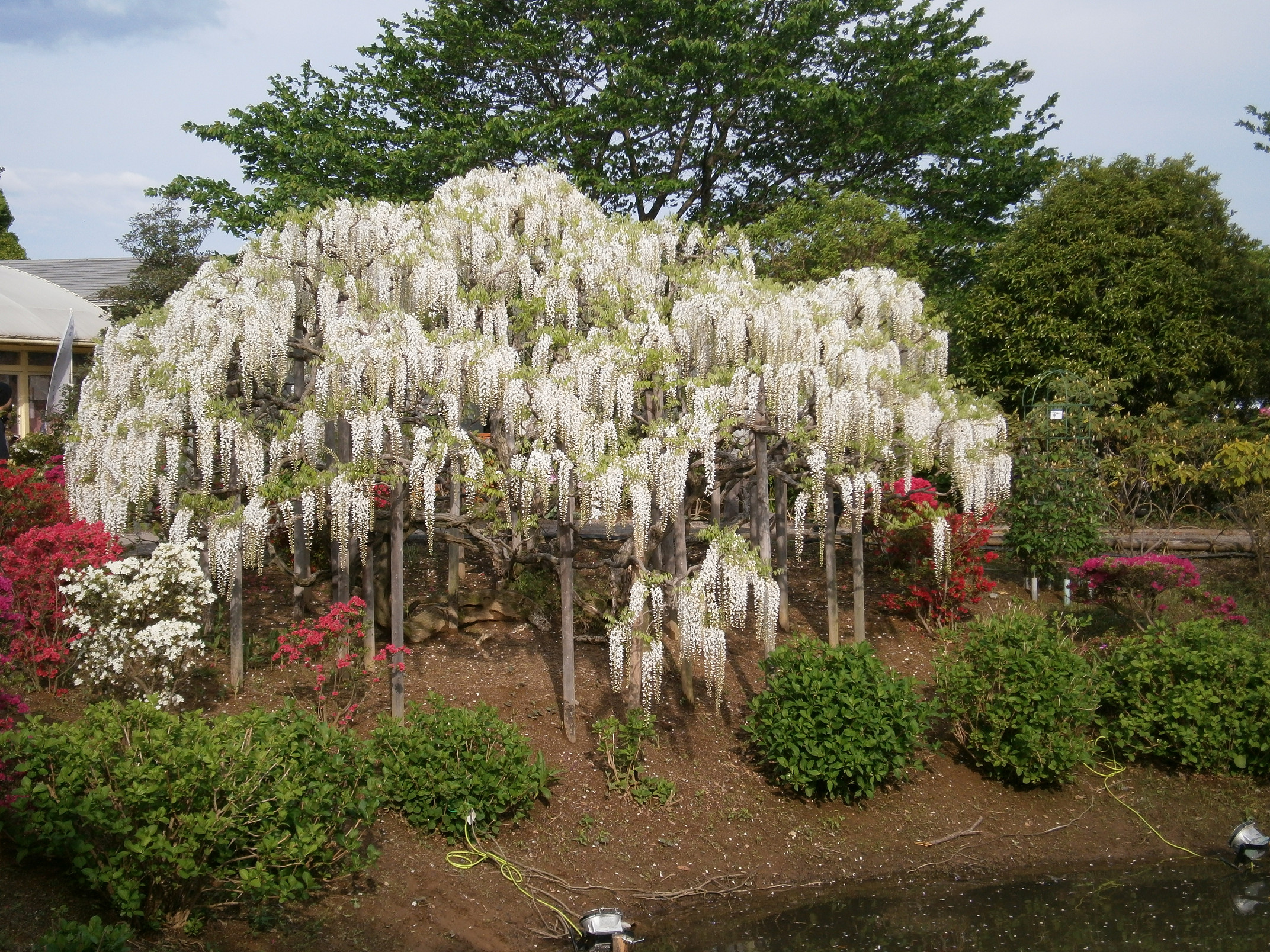 P5050022.jpg