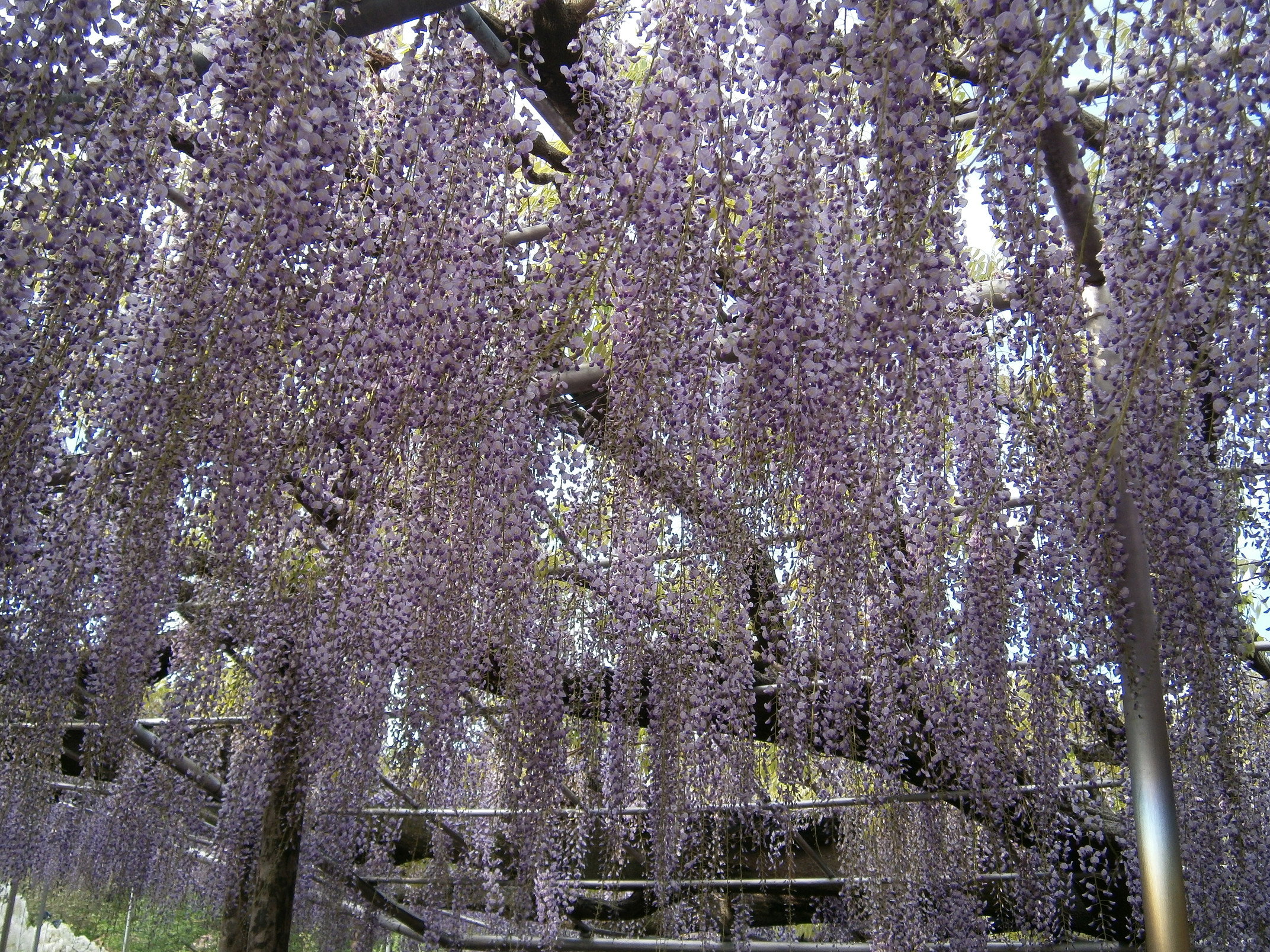 P5050026.jpg