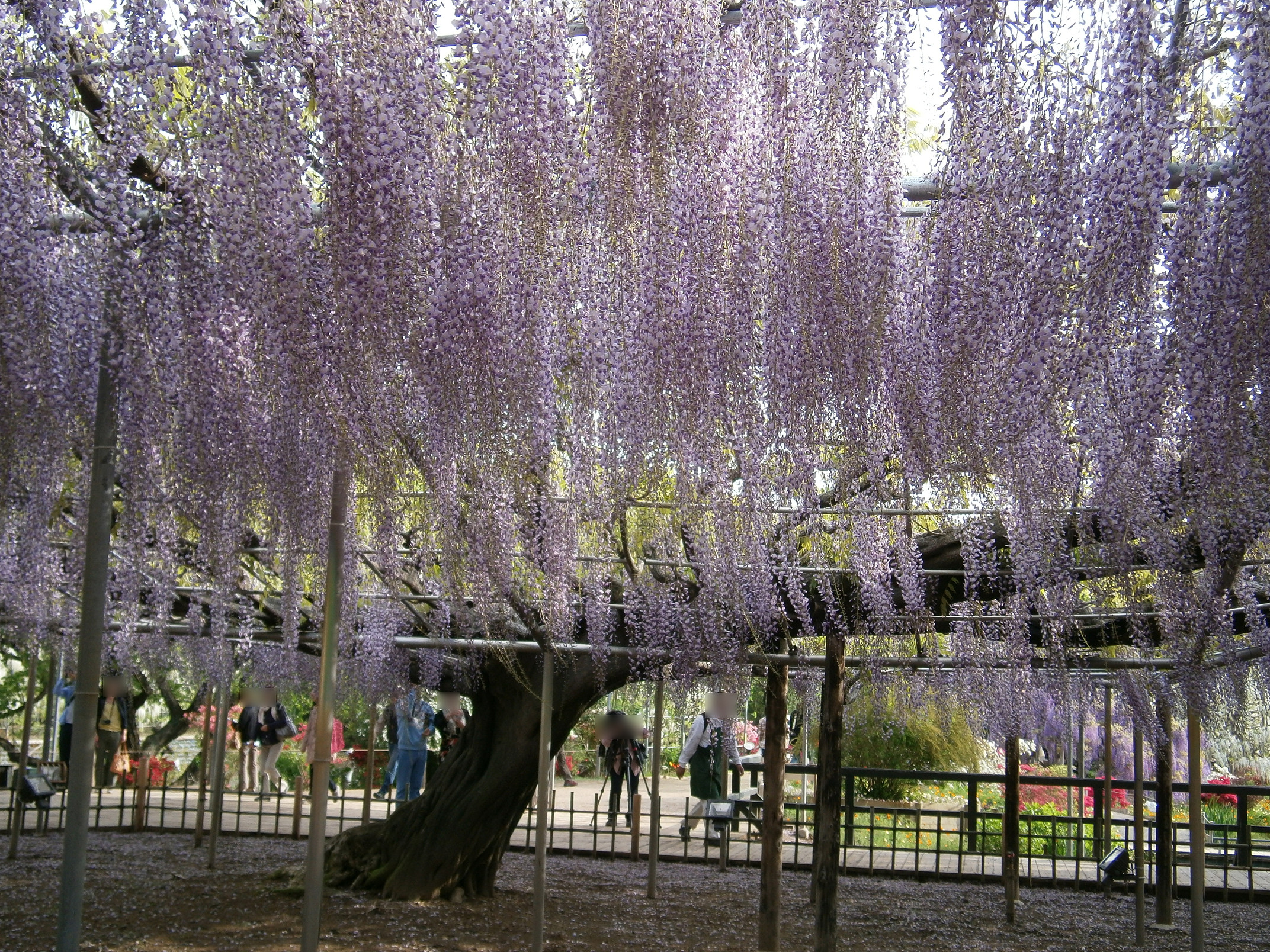 P5050030.jpg