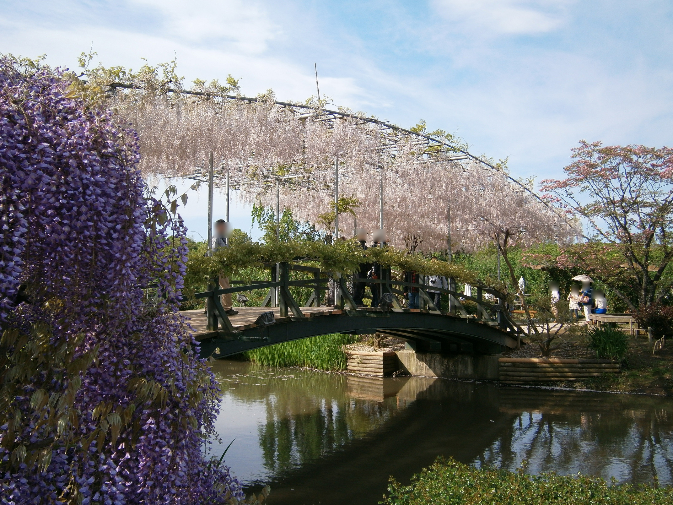 P5050091.jpg