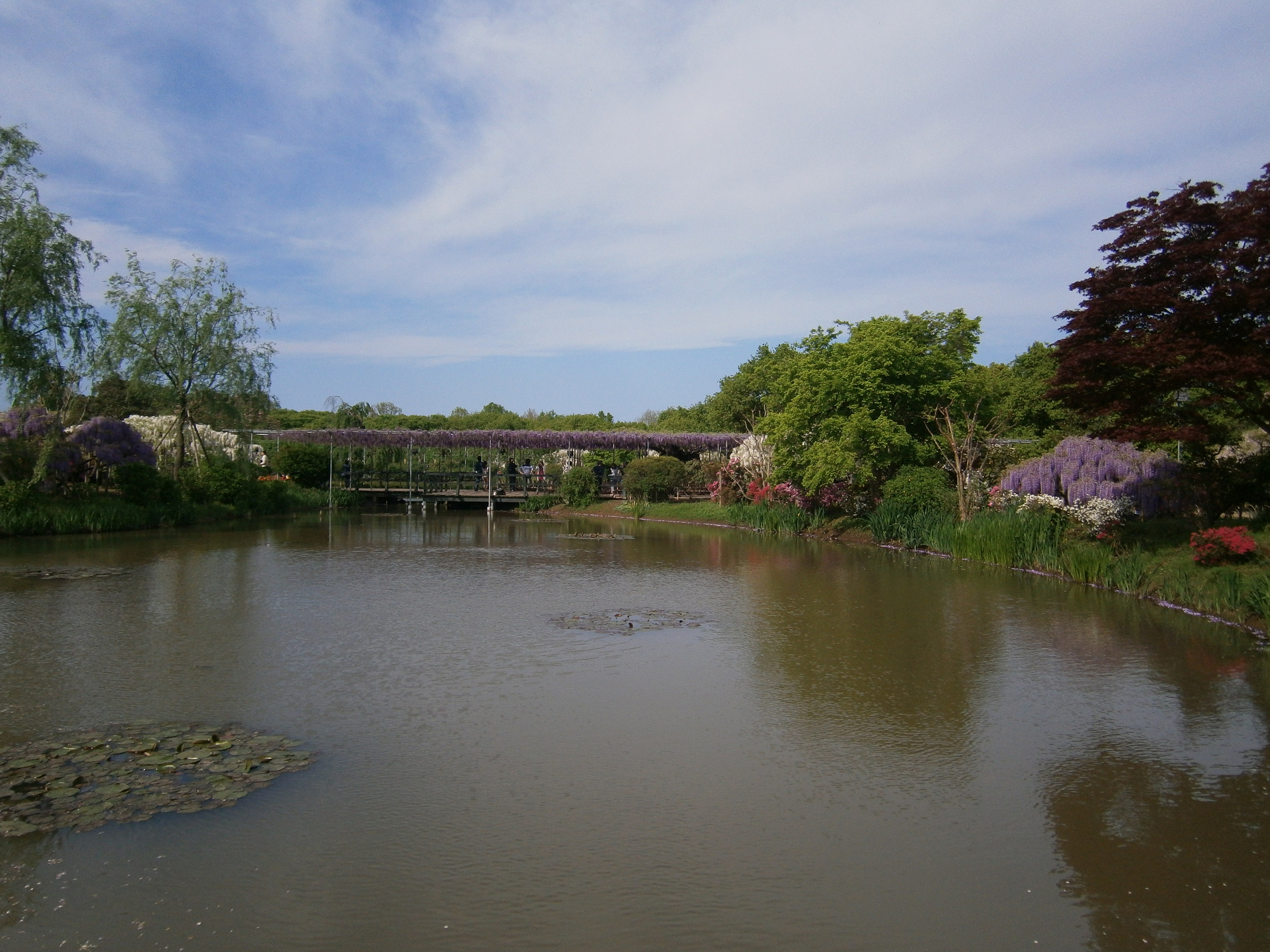 P5050110.jpg
