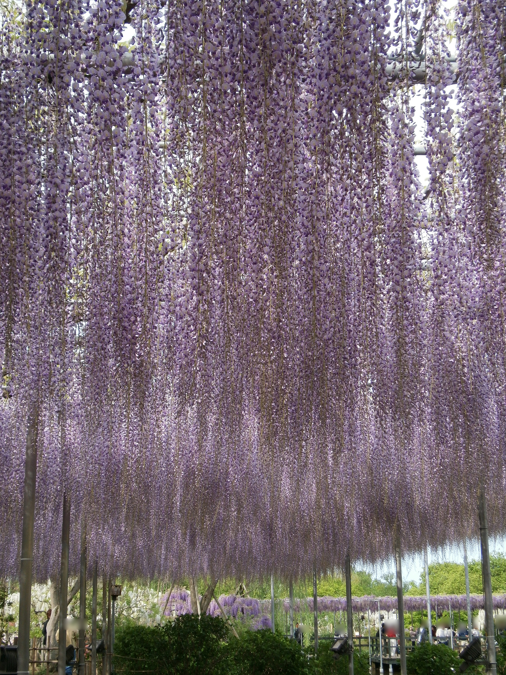 P5050117.jpg