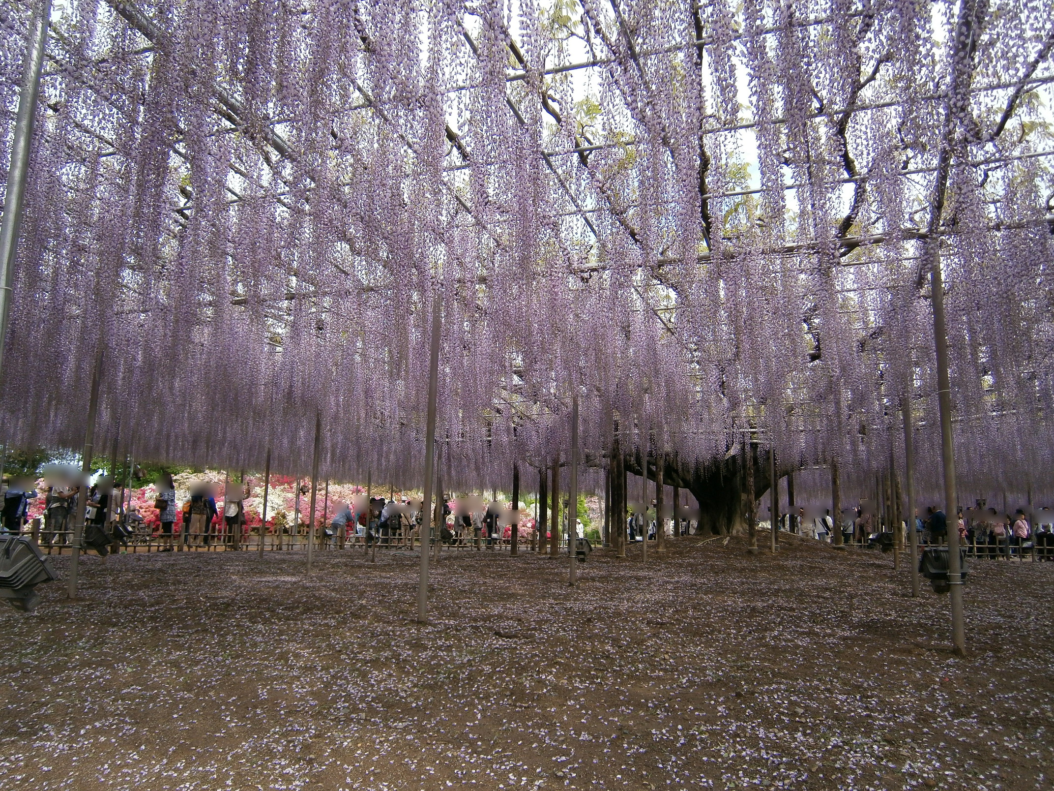 P5050136.jpg