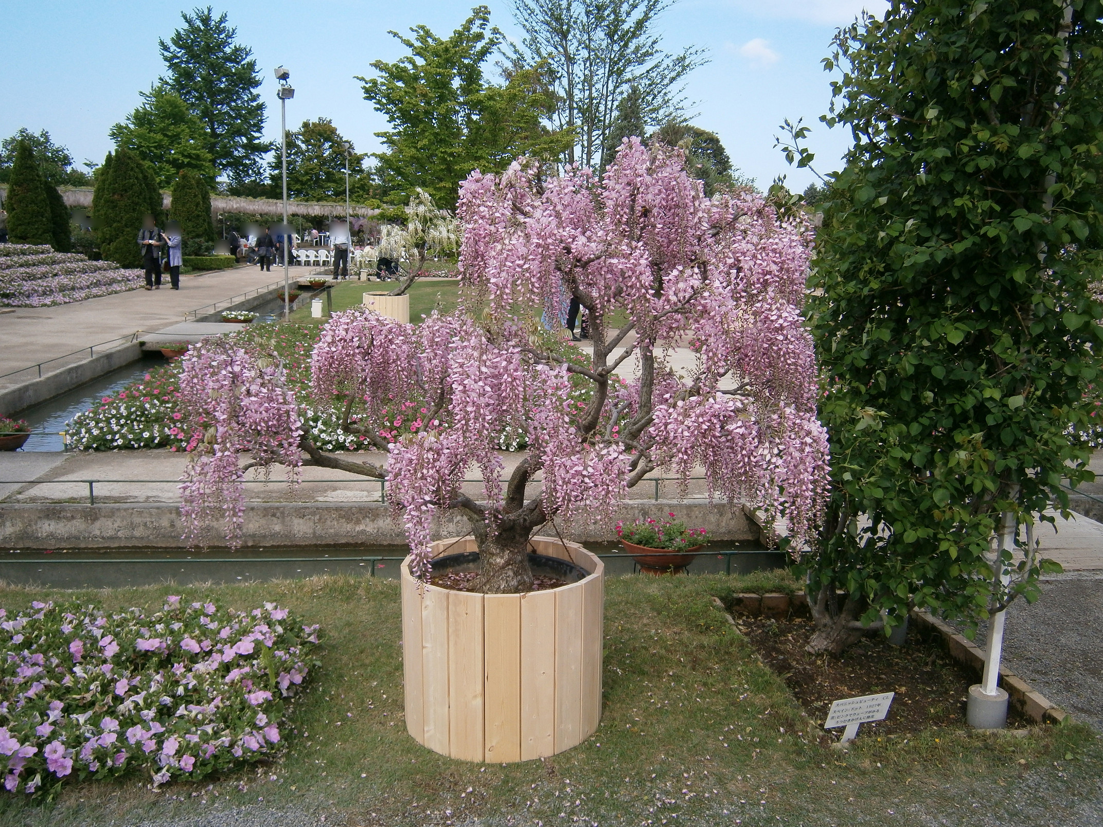 P5050144.jpg