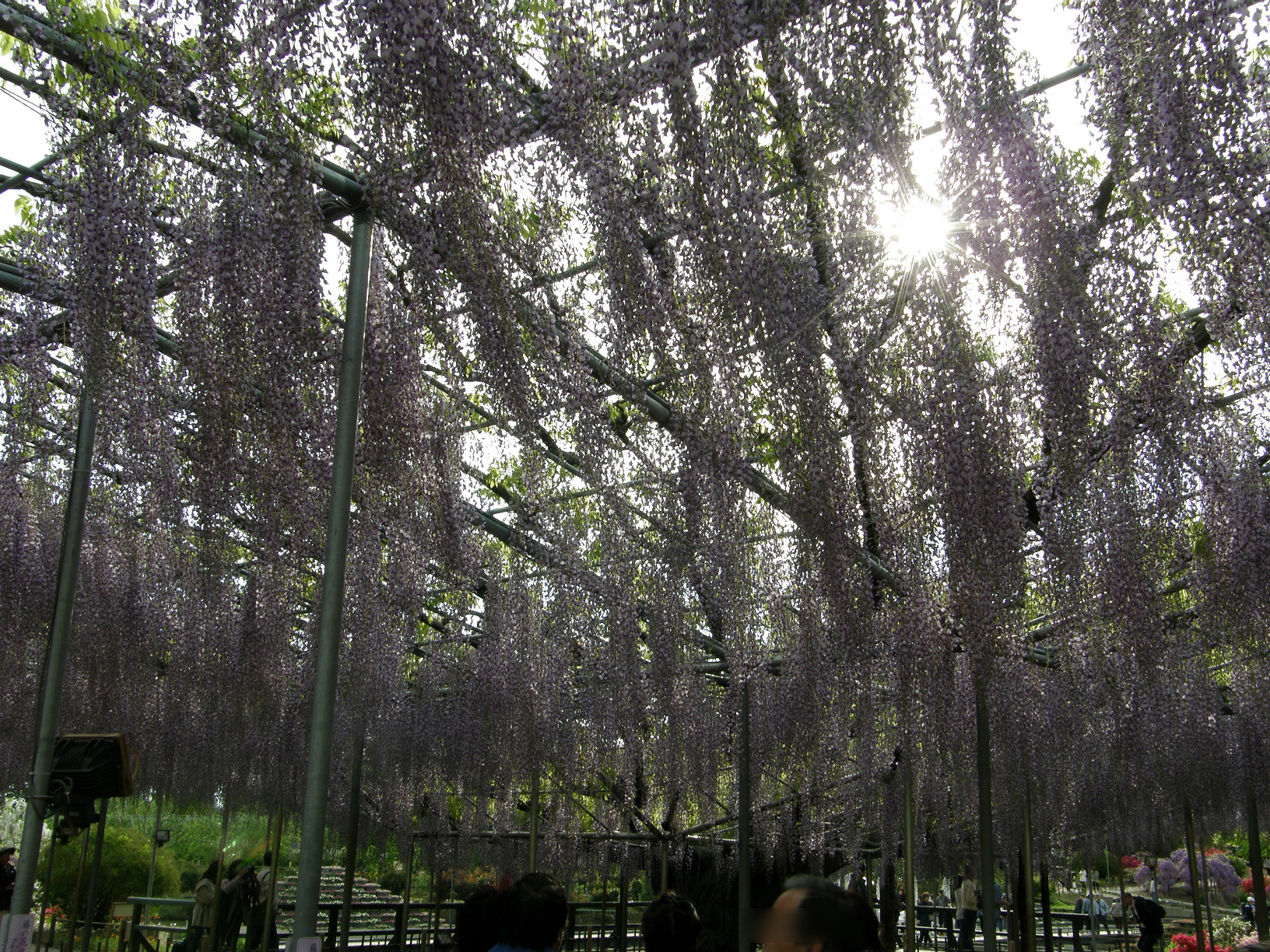 P5059729.jpg