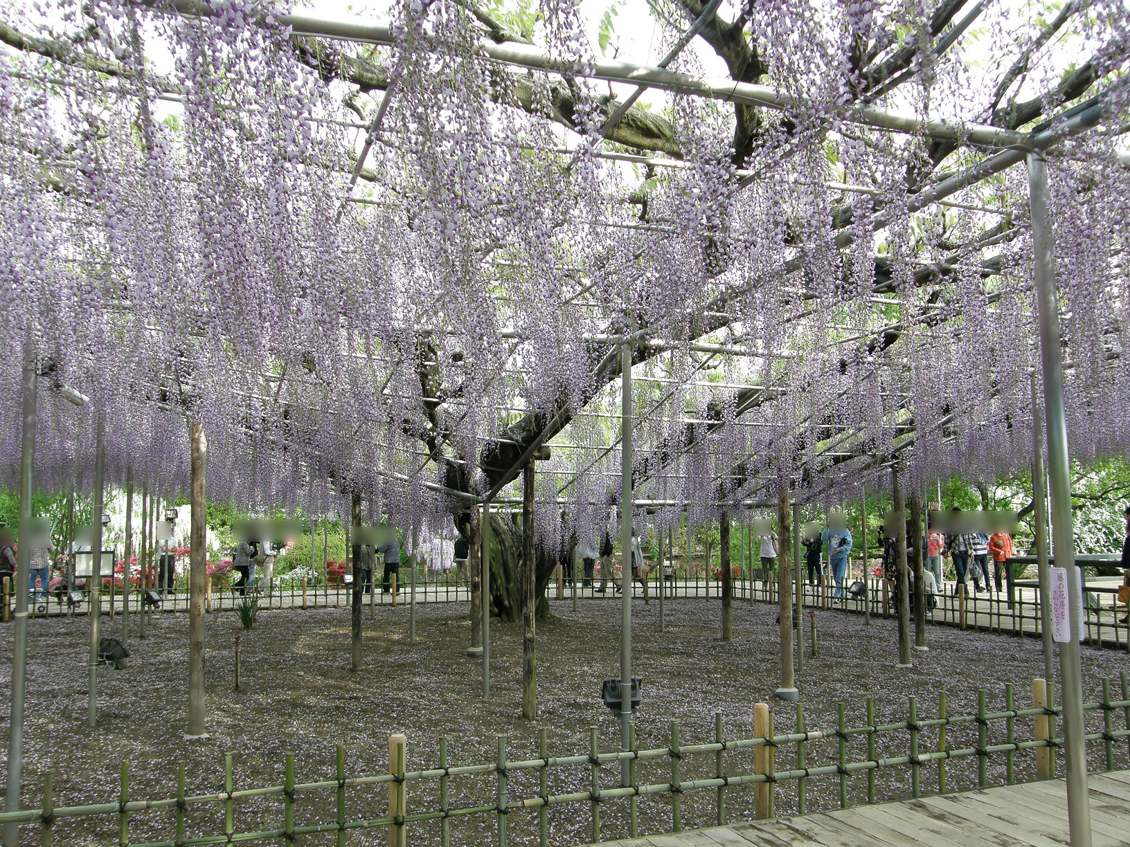 P5059744.jpg