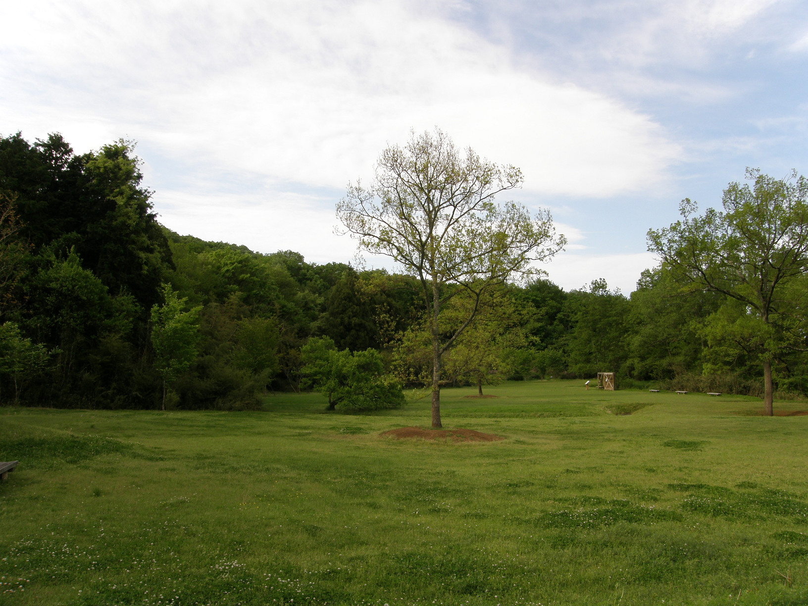 P5059777.jpg