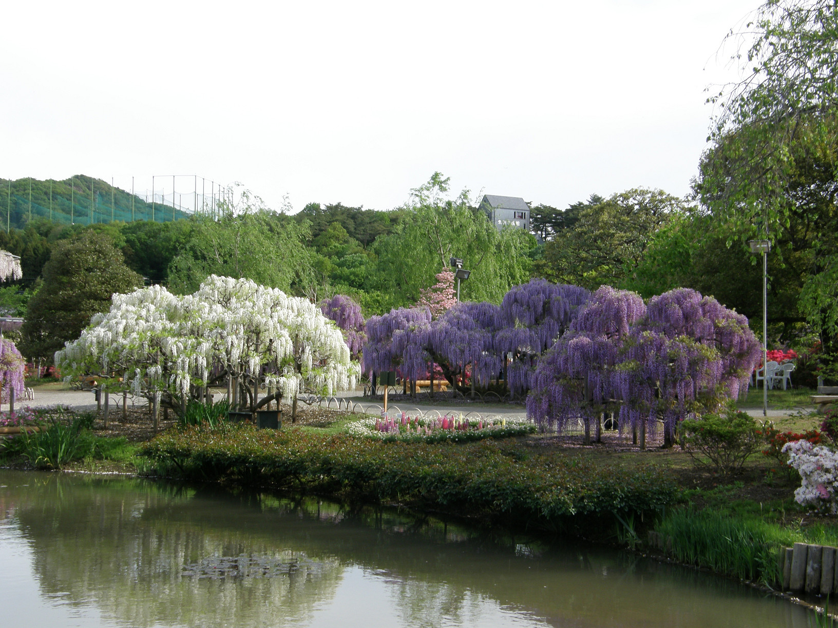 P5059842.jpg