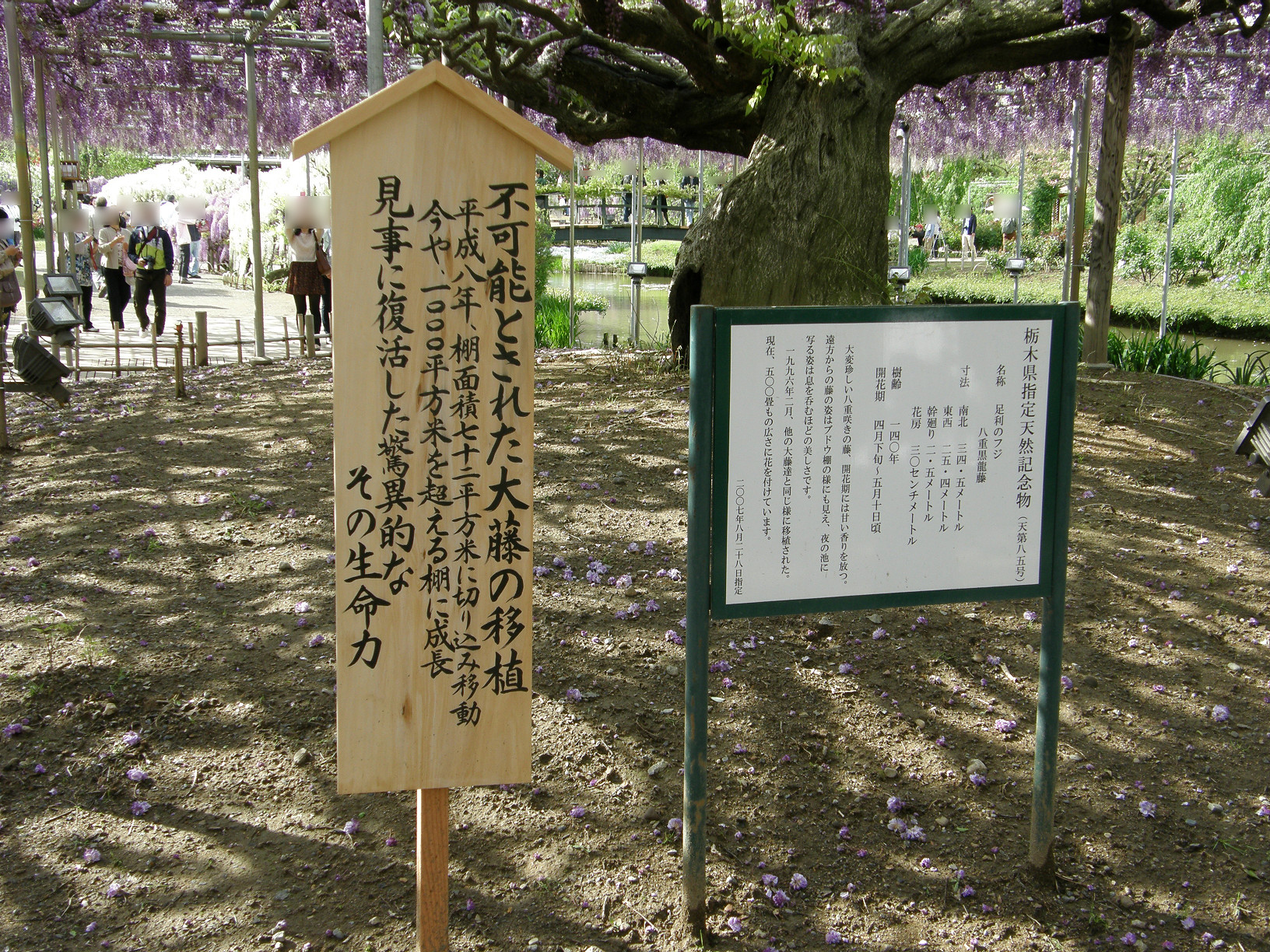 P5059877.jpg