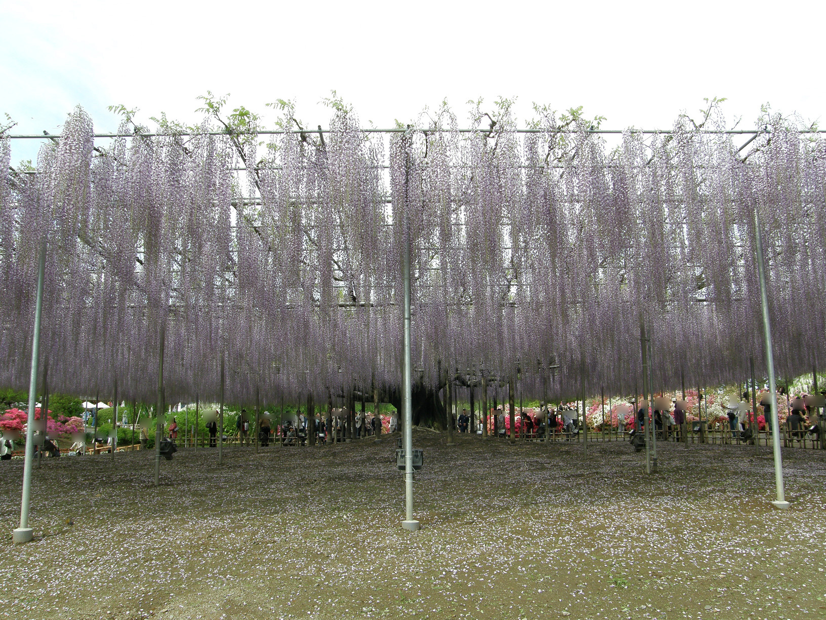 P5059926.jpg