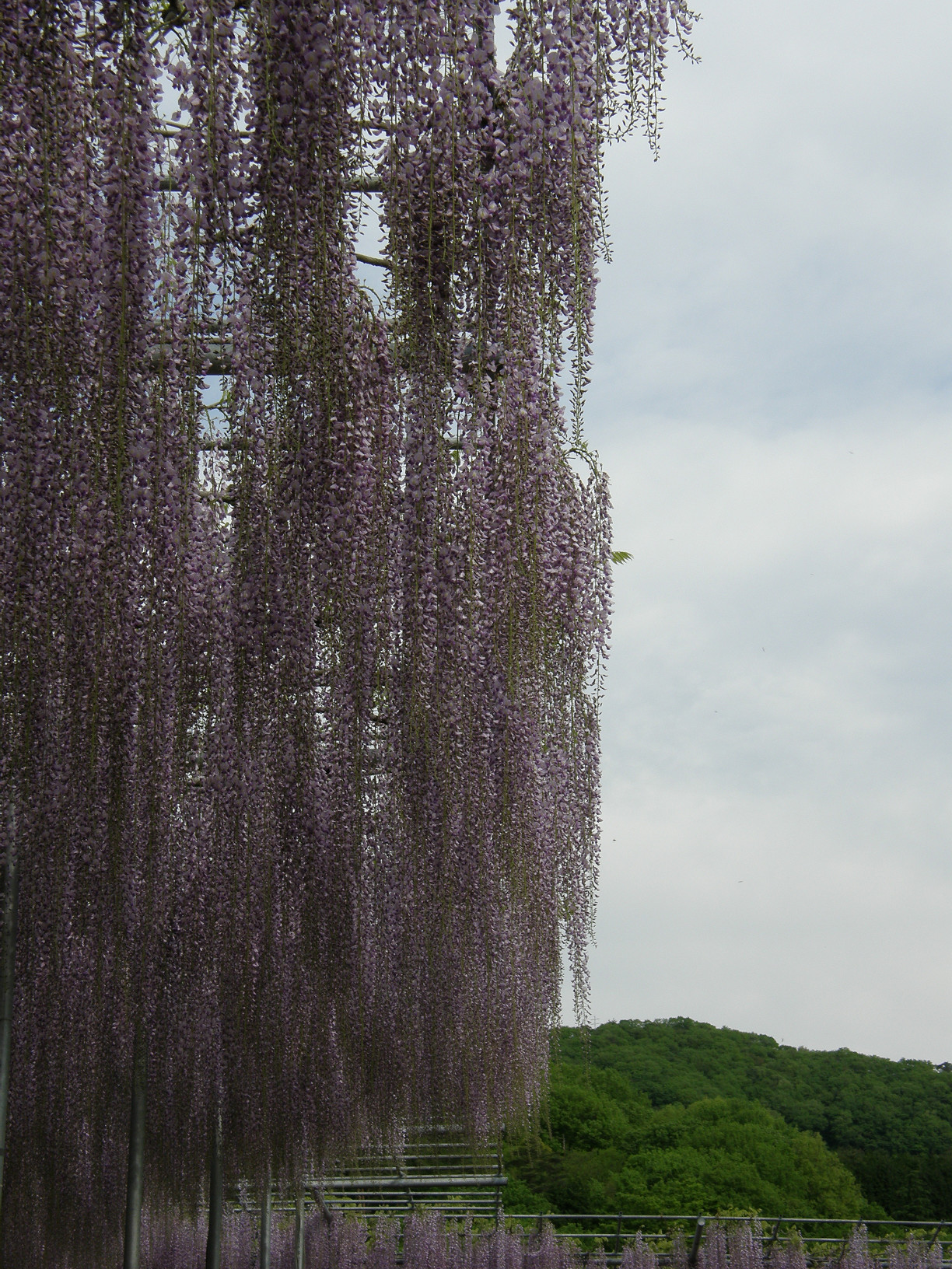 P5059934.jpg