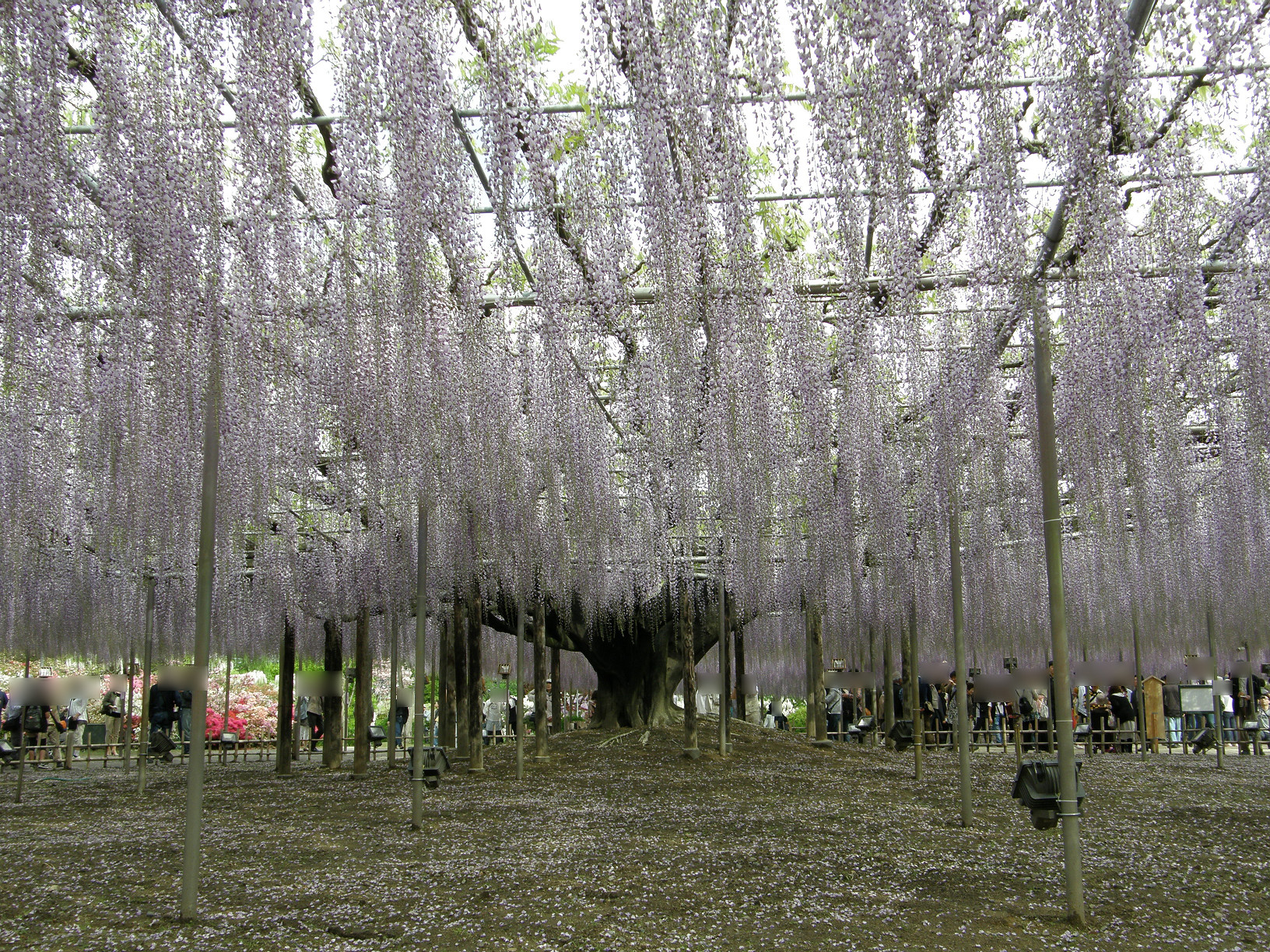 P5059937.jpg