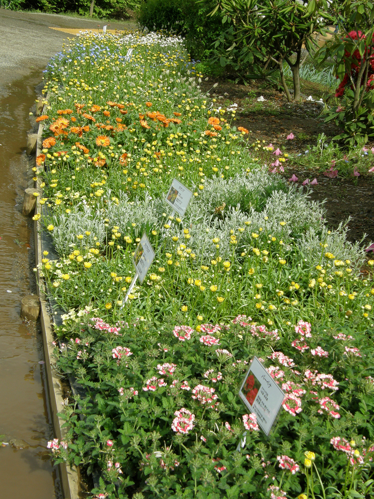 P5059947.jpg