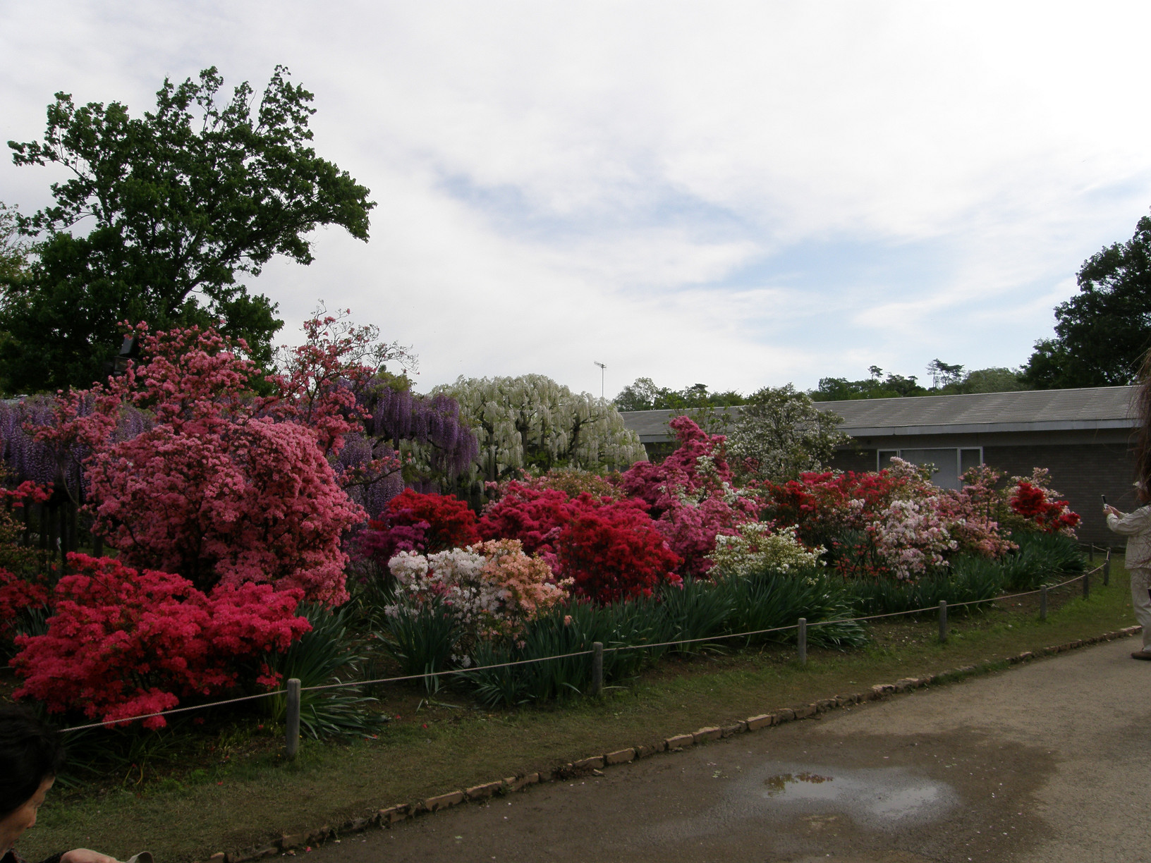 P5059964.jpg