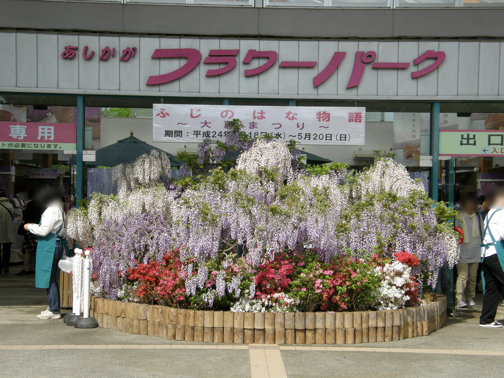 P5059983.jpg