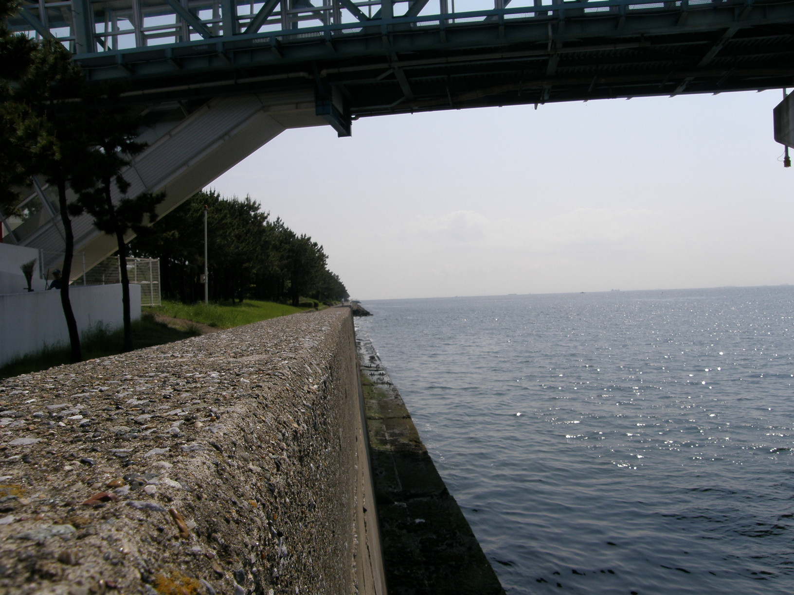 P5180109.jpg