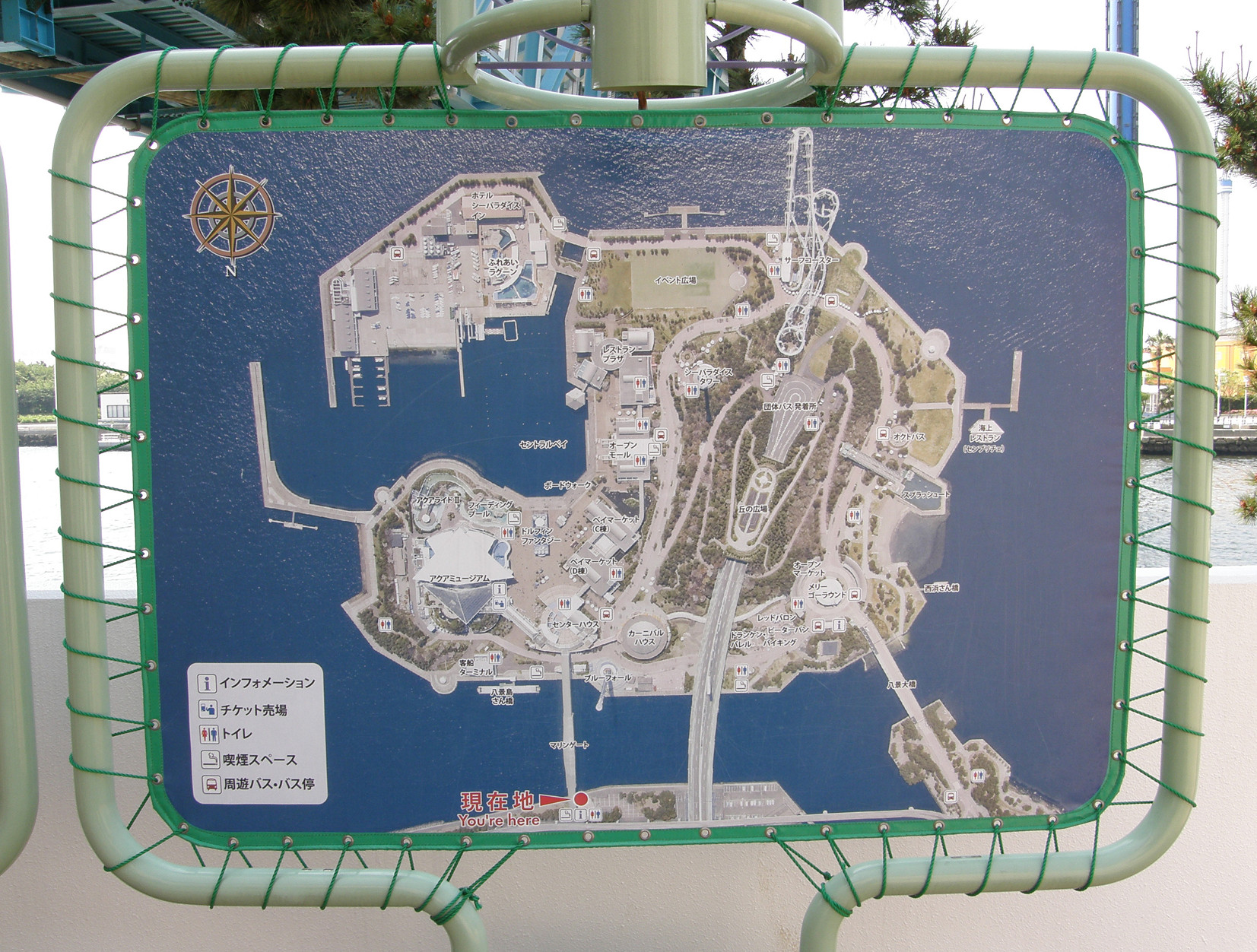P5180110.jpg