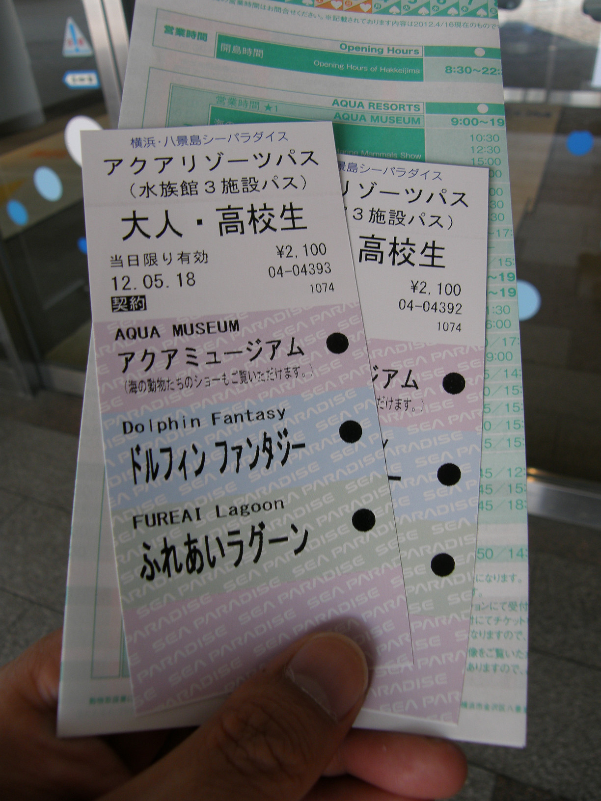 P5180113.jpg