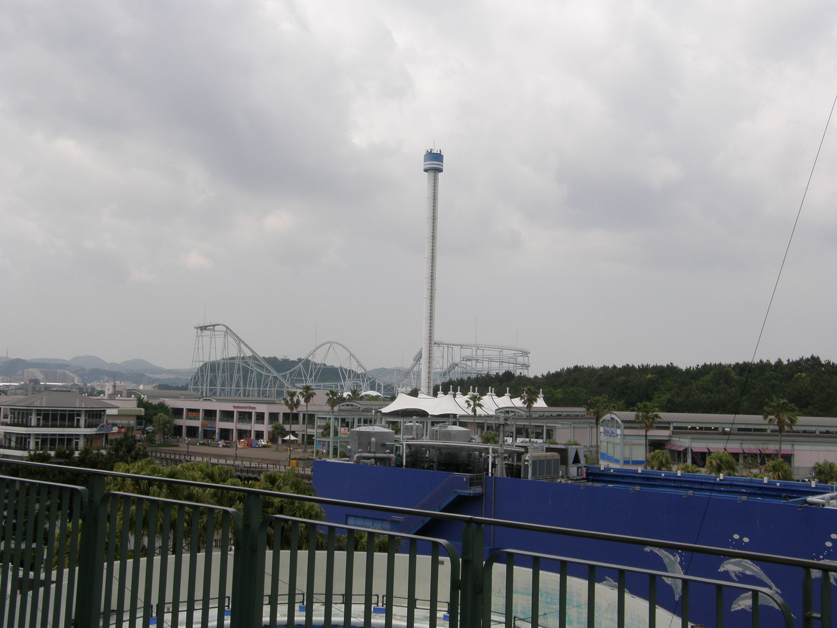 P5180191.jpg