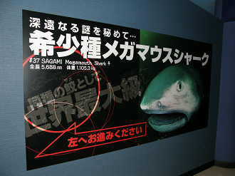 P5180277_thumb.png