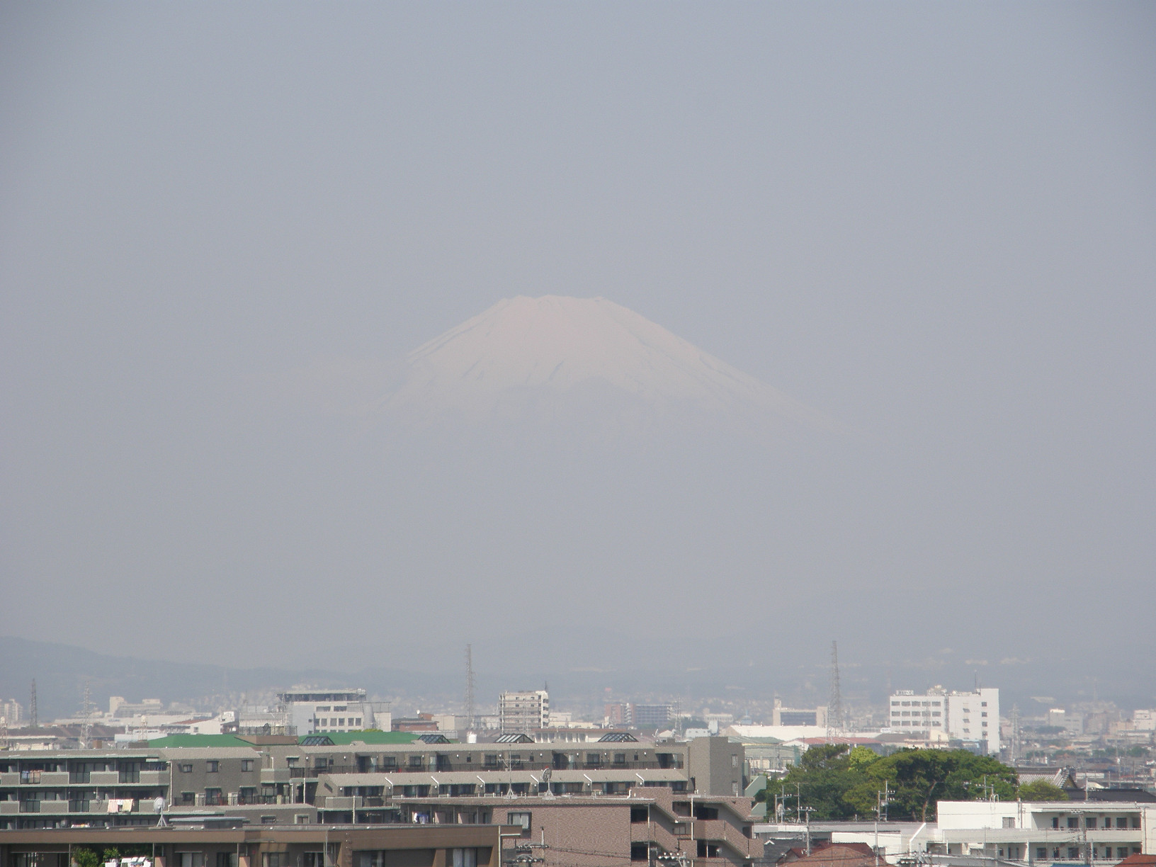P5190354.jpg