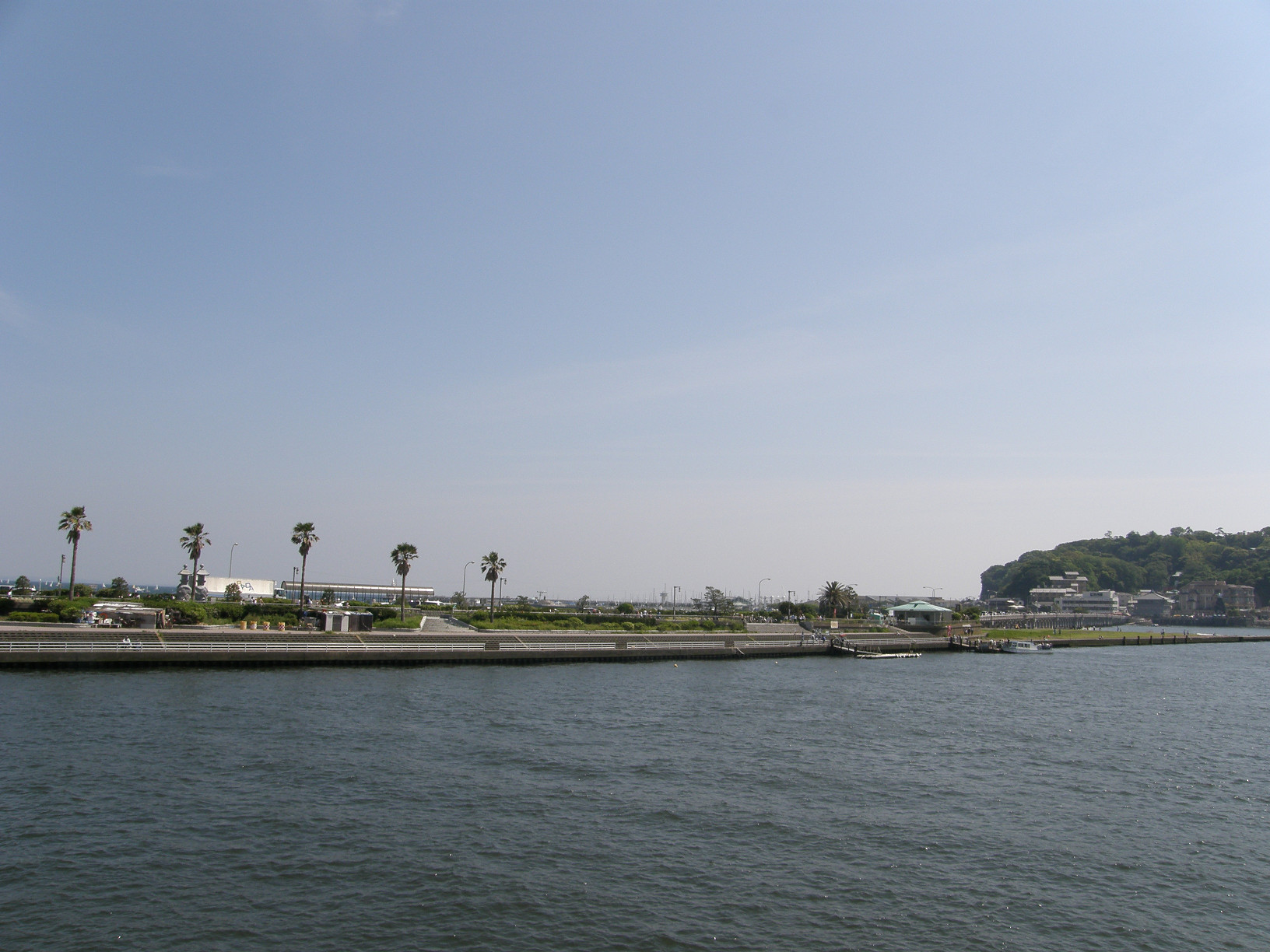 P5190377.jpg