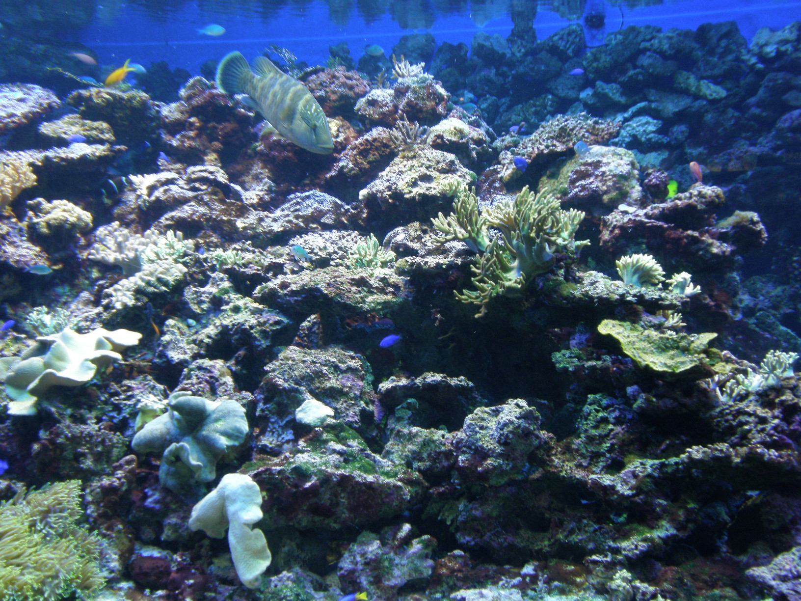 P5190442.jpg