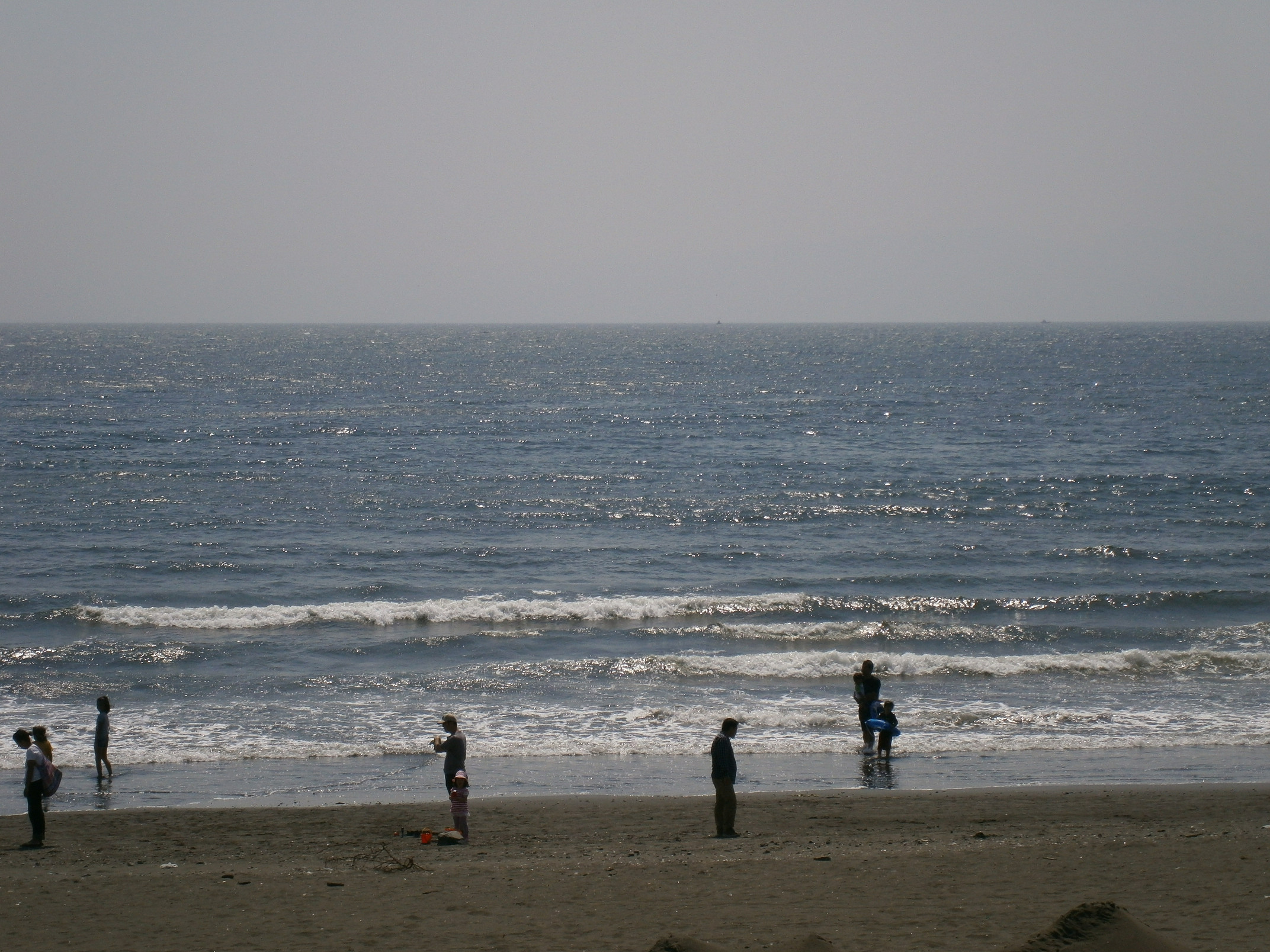 P5190443.jpg