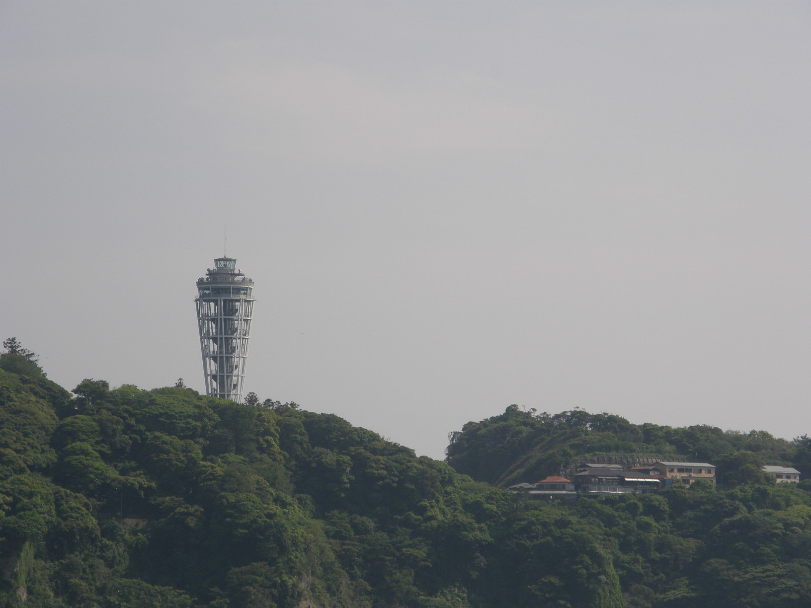 P5190461.jpg