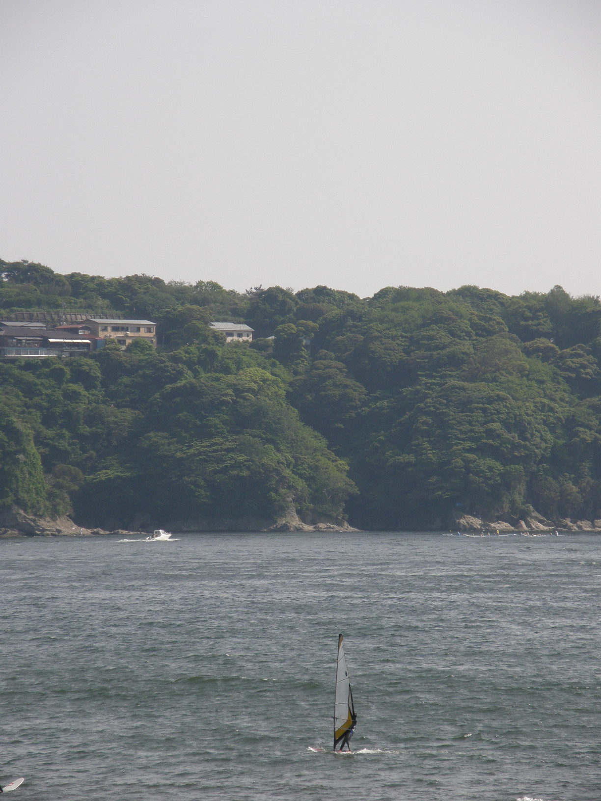 P5190467.jpg