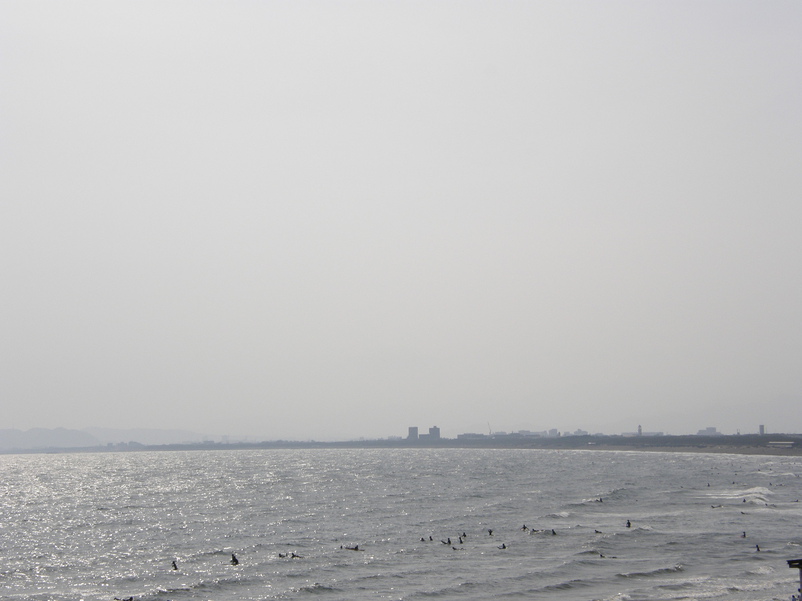 P5190489.jpg