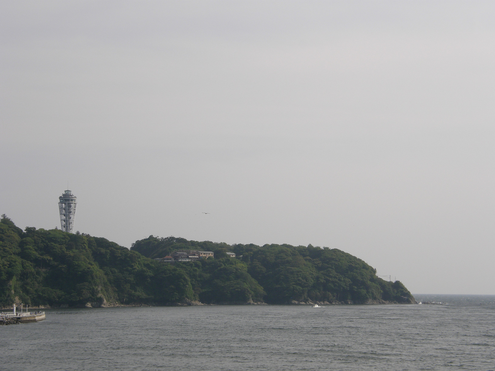 P5190490.jpg