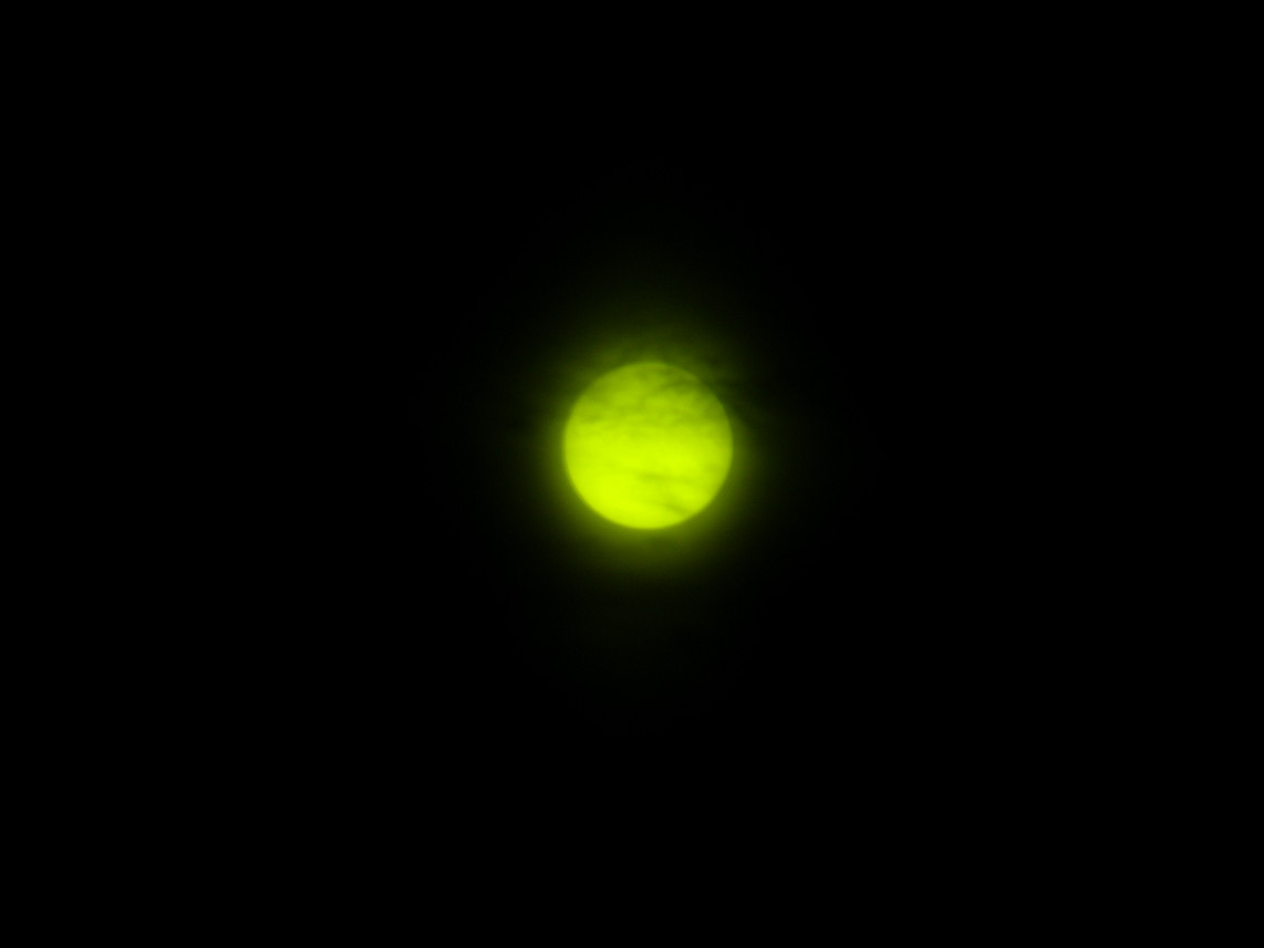 P5210520.jpg