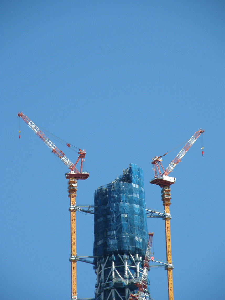 PA117773.jpg